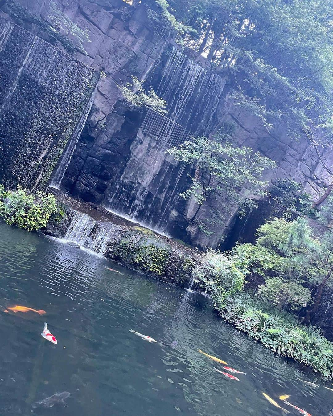 小島梨里杏さんのインスタグラム写真 - (小島梨里杏Instagram)「ドラ恋 in NYでお世話になった 由水南さんの初著書、、📘🗽  「今日から始めるSHOW UPの習慣」が 本日より出版されます！  改めておめでとうございます✨ 心より愛を込めて。  . . . 私はこの本に触れて、  南さんとハグした あの感覚を思い出しました。  🚢  愛と安心、 なによりも踏み出す為の燃料 …と言いますか  よしまたここからだ、と 自然と気合いの入るそんな感覚。🤝🏻  そして  私の大切にしている “心が震える瞬間”にも 何度も出逢えました。  今、巡り合わせてもらえた事 心より感謝しております。  わくわくは大事。  🌱  この本に出逢ってから より、  小さな喜びの気づき、 またその積み重ねに 助けられている自覚もあります。  幸せなこと、幸せだったこと 共に感謝の気持ちがあります。  答えはないけれど 自身の選択、自身の心が全て。  大事にしてほしいと私は思います☺️  . どこに視点を置くかで こんなに変われるのは、 それこそ人間の特権のように感じたり。  👶🏻  この明るい景色が 多くの方に広がっていきますように。  素敵なエピソードと言葉たちは 南さんそのものでした。  🎁  皆さんの心にはどんな形で届くのか ぜひ教えてね。  #今日から始めるshowupの習慣 #hearttoheart   ↑お気に入りの言葉  p.s  バースデーコンサートも とっても素敵で…  南さんの vulnerableで幸せいっぱいの空間に 大切な母と立ち会えて、  胸いっぱいな夜でした〜  🌉🤍」9月22日 12時07分 - r_riria