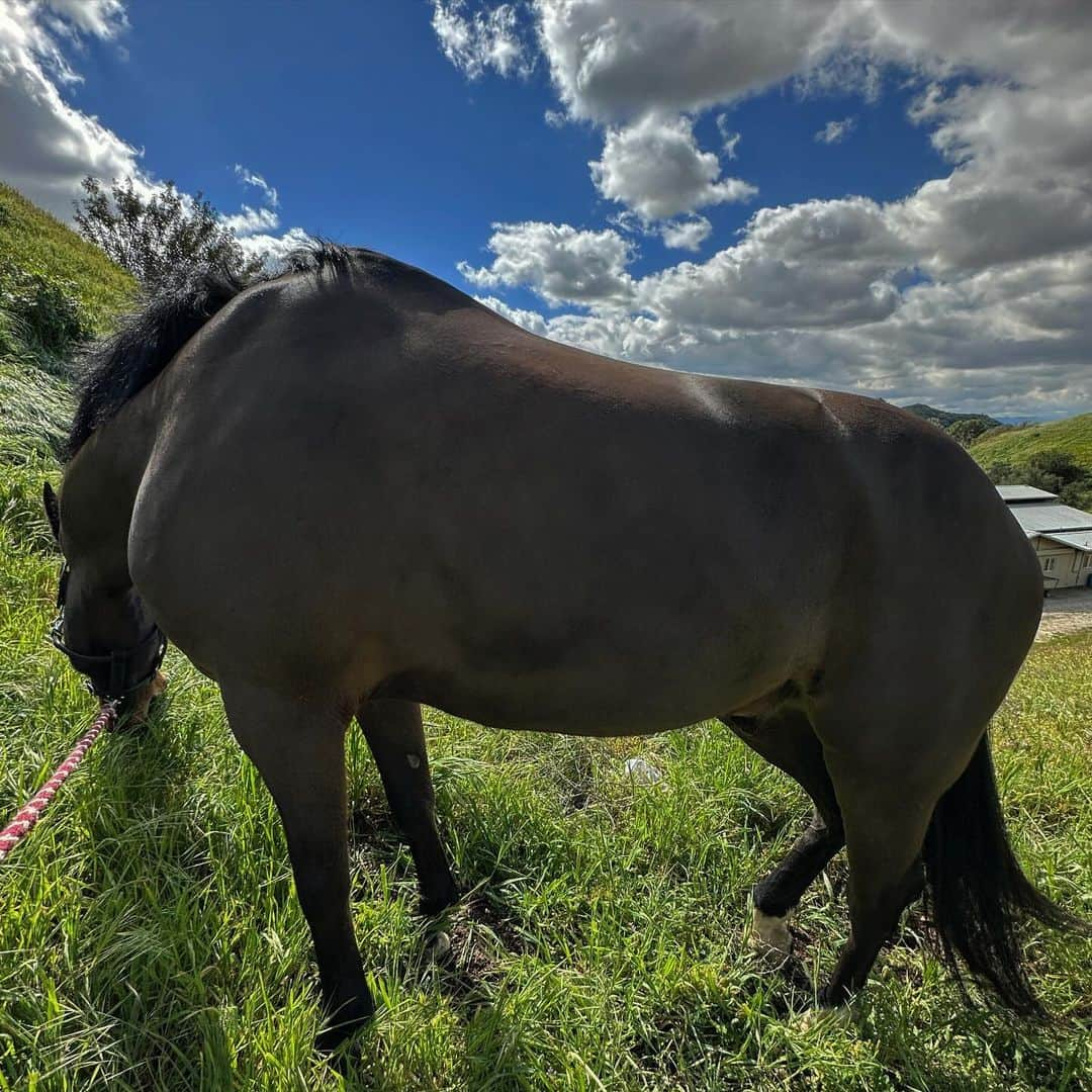 ビリー・アイリッシュさんのインスタグラム写真 - (ビリー・アイリッシュInstagram)「truly」9月22日 12時10分 - billieeilish