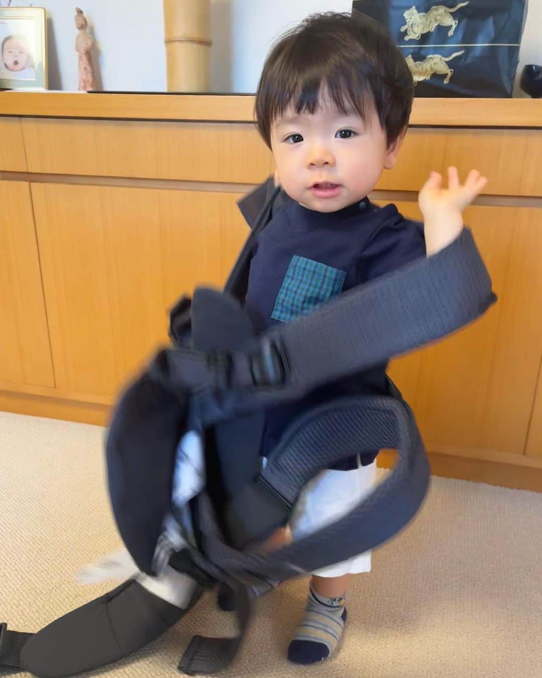 豊田麻子さんのインスタグラム写真 - (豊田麻子Instagram)「抱っこ紐を好きすぎる息子🤨 体重10キロになり、さすがに重たくて、必要最低限にとどめていたら自分で抱っこ紐をつけ始めました😂  #抱っこ紐アピール　#1y4m」9月22日 12時33分 - asako_sen
