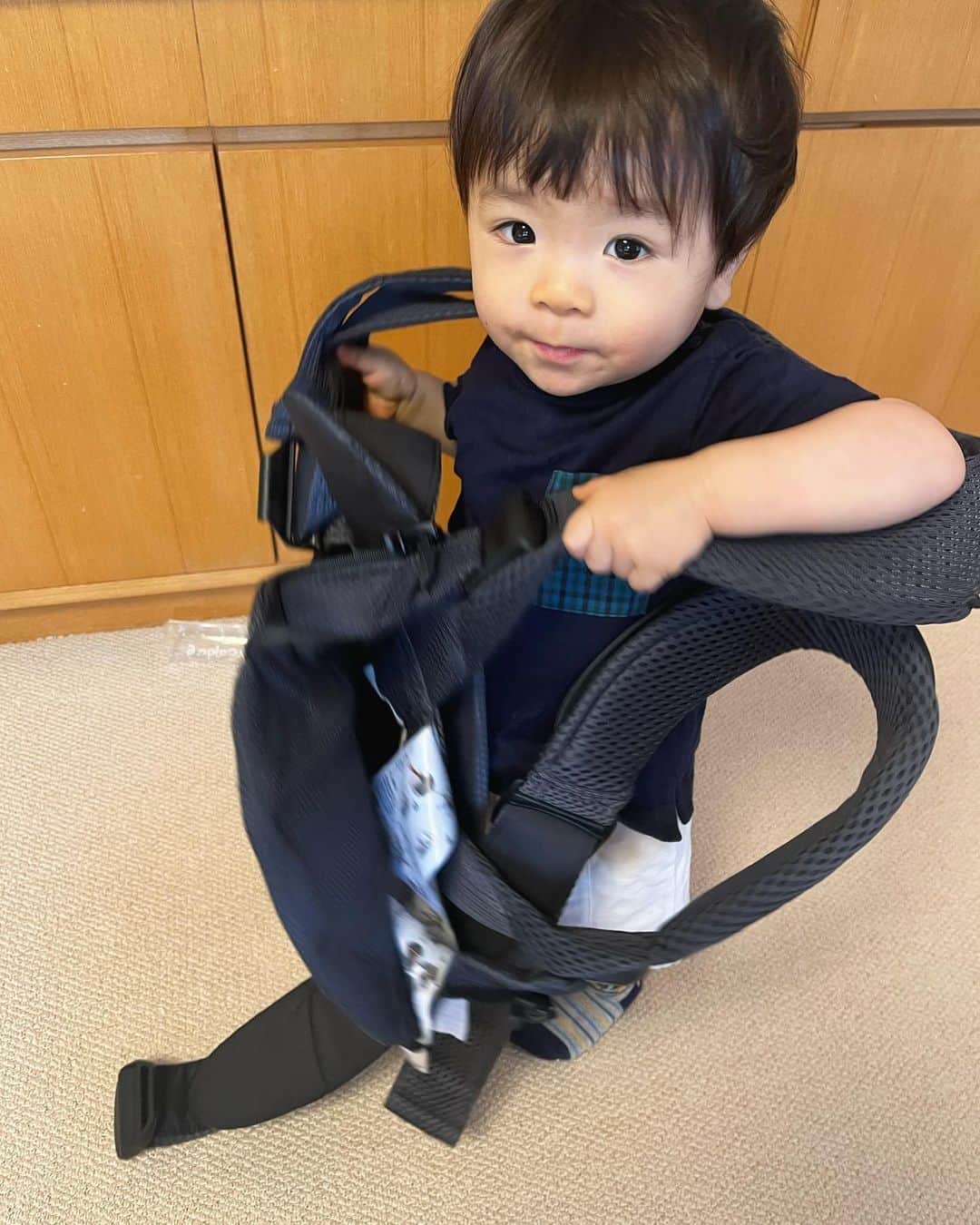 豊田麻子のインスタグラム：「抱っこ紐を好きすぎる息子🤨 体重10キロになり、さすがに重たくて、必要最低限にとどめていたら自分で抱っこ紐をつけ始めました😂  #抱っこ紐アピール　#1y4m」