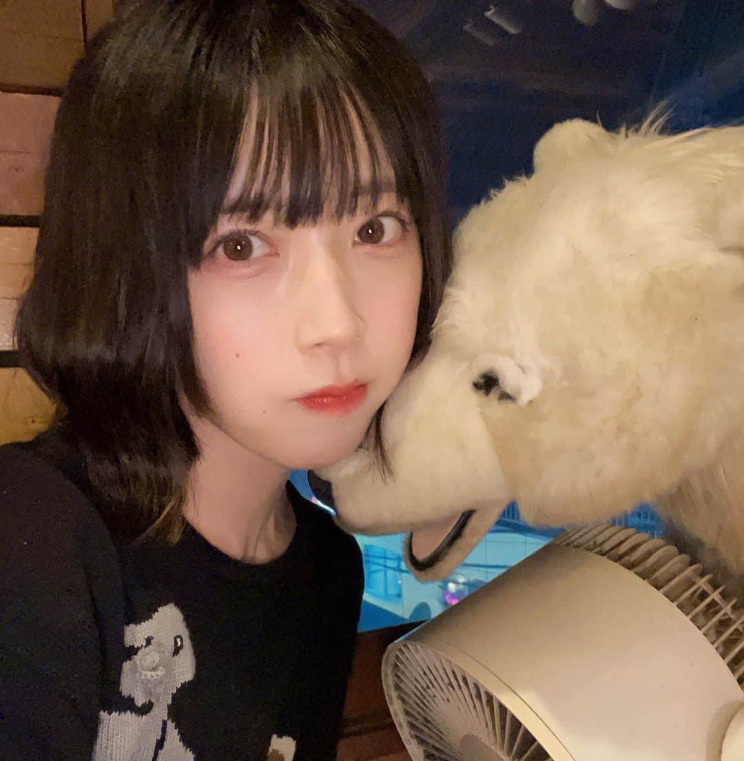 湯井のんのインスタグラム