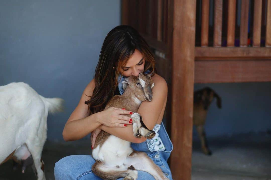 Nicole Bahlsのインスタグラム：「Nossa troca de amor diária ❤️ @canalcasabahls」