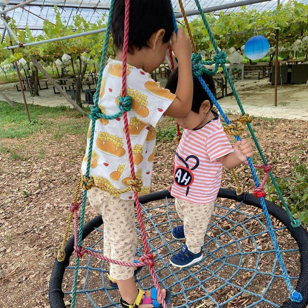 大西蘭さんのインスタグラム写真 - (大西蘭Instagram)「子供の肌荒れ、どうケアしてますか？  今年の夏はかなり暑かったから、子供のあせもに悩まされたママも多いかな？🧐  うちの娘は汗っかきで、この夏、首に何度かあせもができて、痒くて掻くので引っ掻き傷ができてた💦 （写真3枚目）  以前なら皮膚科へいって保湿クリームや薬（ステロイド）をもらっていたけれど 今はドテラの木箱とエッセンシャルオイル辞典があるので、お家でケア🏠  エッセンシャルオイル辞典で症状をひいて、対応するエッセンシャルオイルを塗る🌿  すごーく簡単に対処できて、私も子供もストレスが減った🙌  しかも良い香りで癒される🥺  皮膚トラブルにはラベンダーを使うことが多いのだけど、本当大好きな香り❤️  そして、エッセンシャルオイルは植物由来なので、体内で分解されて排出される。  一方、病院で処方されるステロイドは副作用がゼロではない。  「ステロイド」とは、ヒトの副腎皮質という臓器で作られている抗炎症作用を持つステロイドホルモン（副腎皮質ホルモン）を基礎にして合成した薬効成分「合成副腎皮質ホルモン」の通称。  長期間使い続けると、ステロイド成分の持つ免疫抑制作用によって、皮膚の抵抗力が低下したり、ニキビができやすくなったり、白癬などの感染症が起きやすくなったりするそう。  皮膚を通して経皮吸収されたものは10%しか排出されず、90%は身体に蓄積する。  私はこの事実を知ってからは気軽に石油由来のものや化学合成品を身体に塗るのがこわくなった。  子供の病院代はタダ🏥 ドテラのエッセンシャルオイルを使うにはお金がかかる🌿  でも病院でもらう薬を塗り続けることは、本当に子供のためになるのかな？  子供は自分で選ぶことができない。 だからこそ、ママがちゃんと知識を持って選択してあげてほしい🙏  インディアンのことわざ  『父が無知だと貧乏になり 母が無知だと病気になる』  テレビや新聞などのメディア、人の言うことに惑わされず、ちゃんと自分で調べて情報を得て、選択をする。  子供の健康、将来は親の知識、行動にかかっている。  私も日々考え動いている。つもりです😌  #富山市 #富山ママ #富山ママと繋がりたい  #無知は罪 #富山在住  #ドテラ #dottera #ドテラエッセンシャルオイル #エッセンシャルオイル  #ドテラのある暮らし #essencialoils #PR」9月23日 0時08分 - onishiran