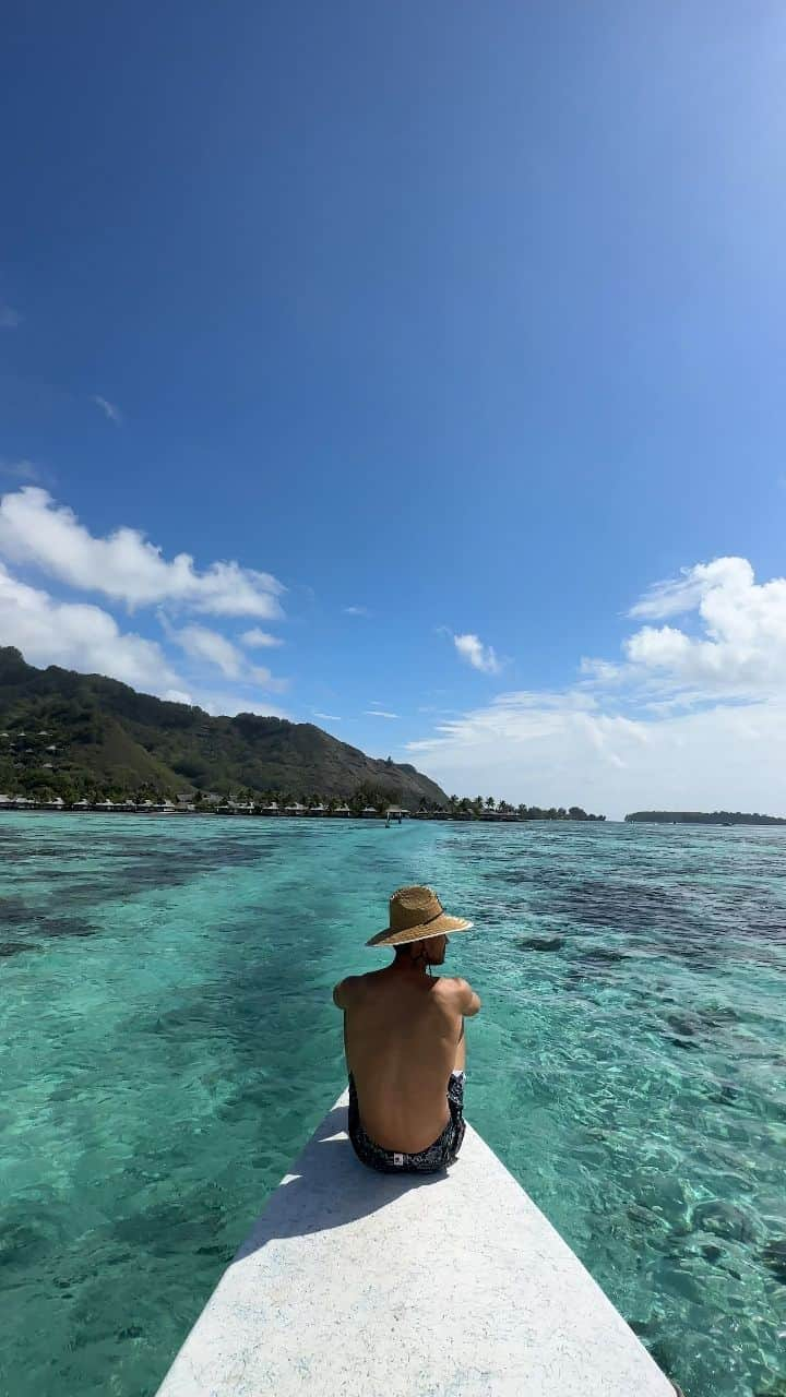 ティムのインスタグラム：「The place where time stands still and unforgettable moments are made. 🦈🐚🌴 . . . . #amazingmoorea #moorea #home #mooreatimitour #summergetaway #summerhappiness #amazingplaces #aroundtheworld #mentalhealth」