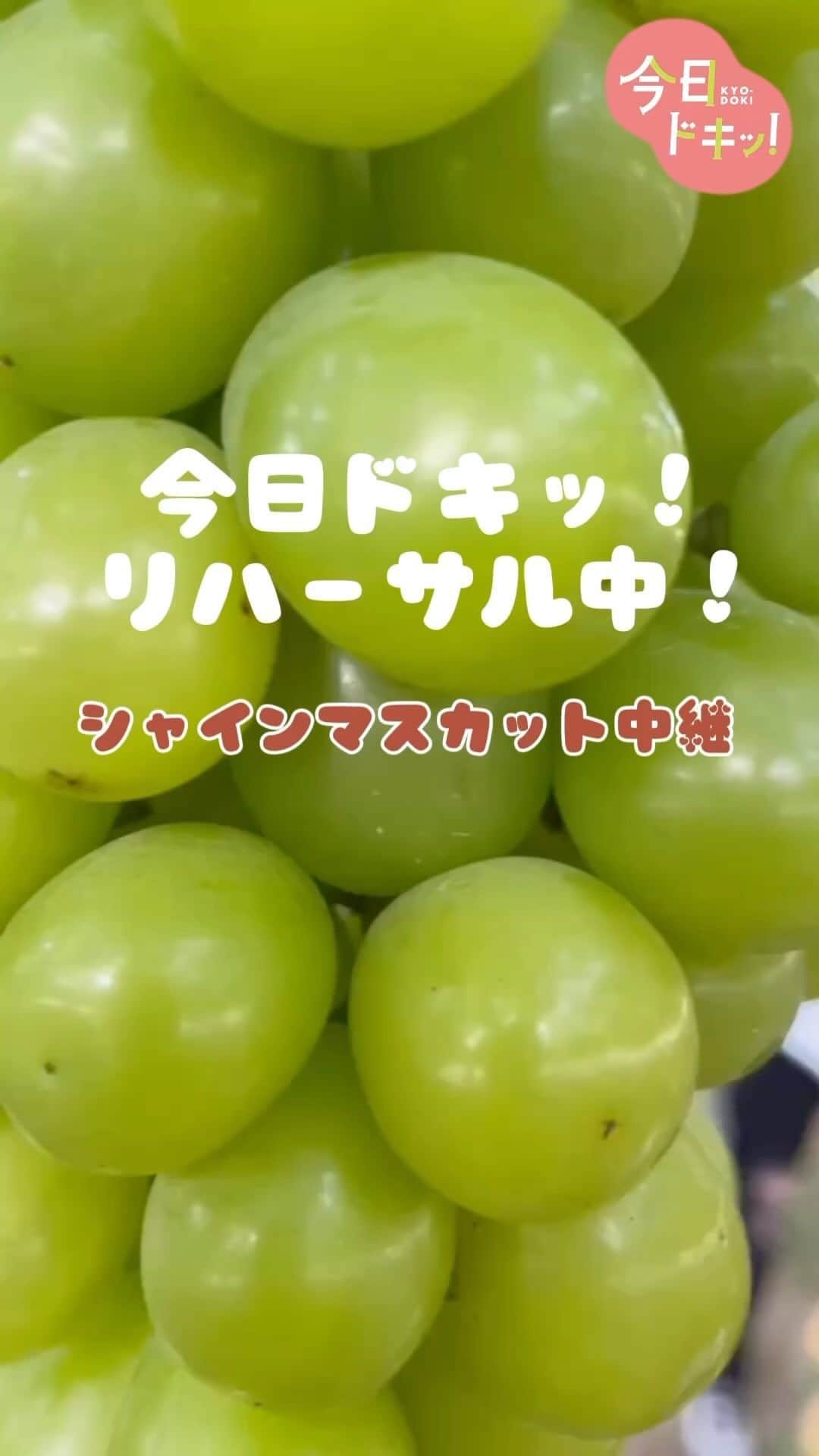 北海道放送「今日ドキッ!」のインスタグラム