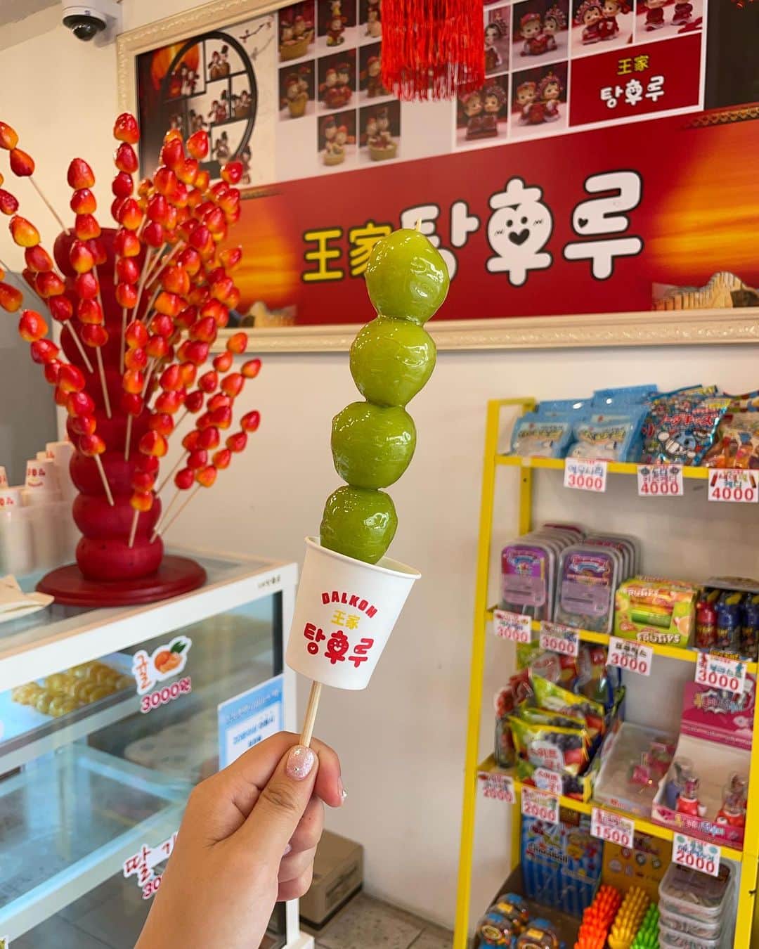 高井香子のインスタグラム：「【再ブーム中フルーツ飴🍓】  フルーツ飴好きとして、やっぱりこれは食べなきゃ🫨  NYLONでも記事にしたけど、 チェーン店出来たり、コンビニでも買えたり（冷凍） 韓国はブームになると瞬く間に広がるからすごい。笑  屋台のスイーツだったのに、 何だか立派になられて🤤  1番有名な専門店と言えば #왕가탕후루  飴パリパリだし、フルーツも美味しいよねぇ〜🍒  これだけ食べ応えあったら大満足🏆  #フルーツ飴 #탕후루 #韓国グルメ #韓国旅行  #1日1こうこりあさんぽ」
