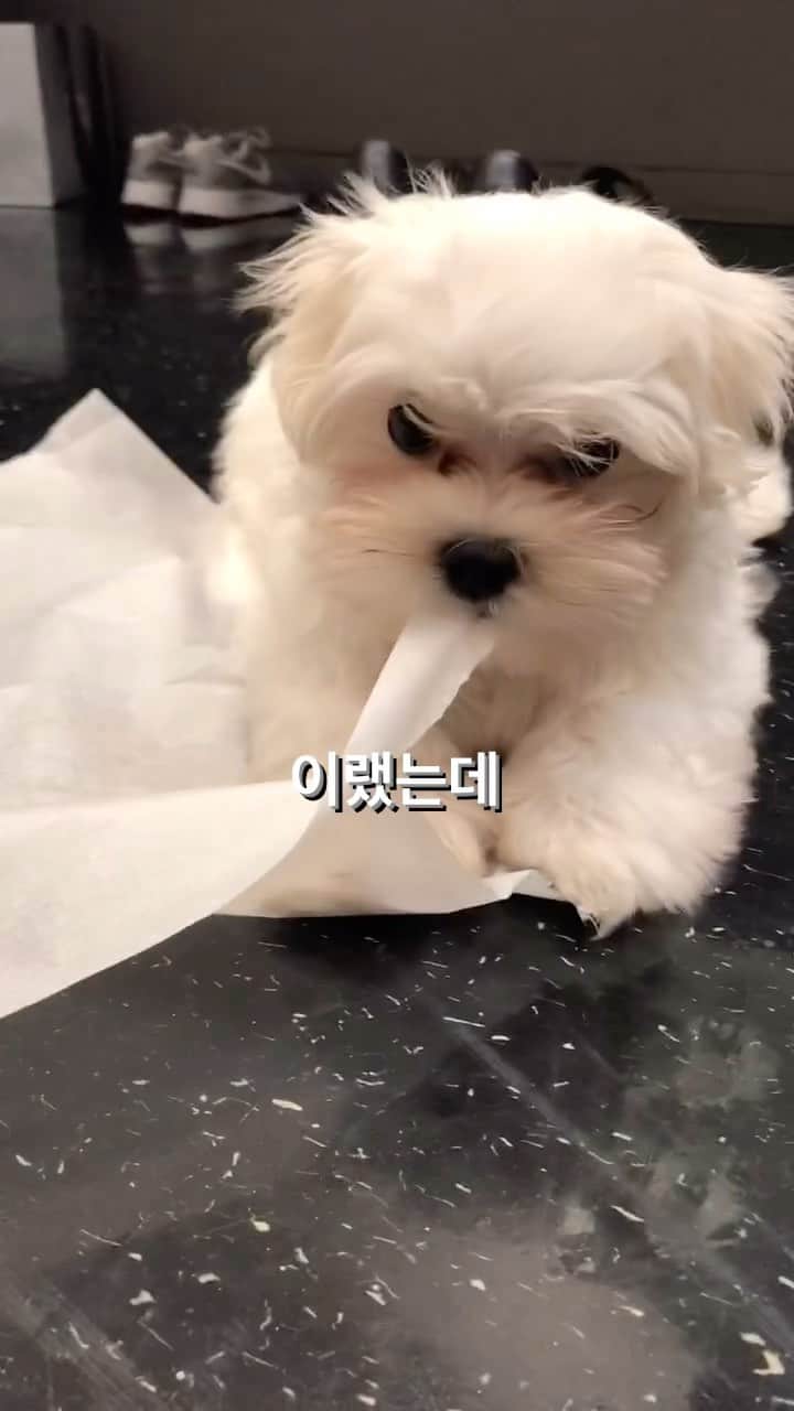 Ivyのインスタグラム：「박뜌💚」