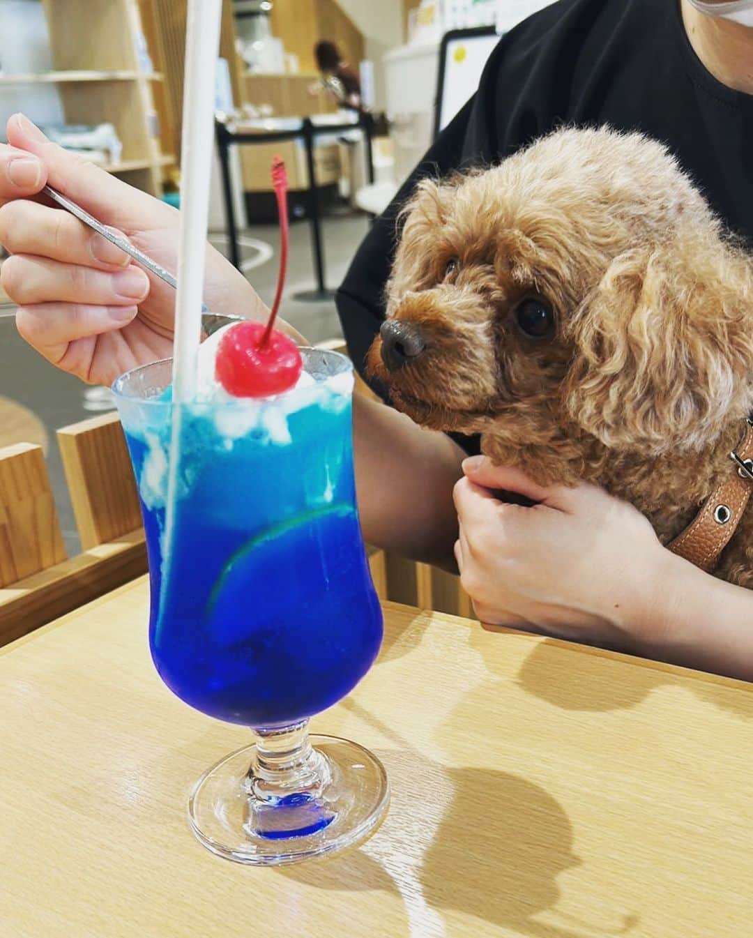 藤咲えりのインスタグラム