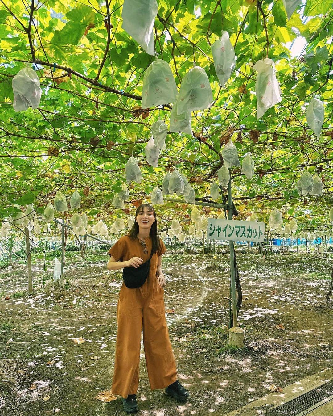 のインスタグラム：「ぶどう狩り行ったけど狩らずに普通に購入した日のコーデ。  この世で食べたブドウの中で いちばんあまかった🍇  #山梨 #ぶどう狩り #内田旅行記」