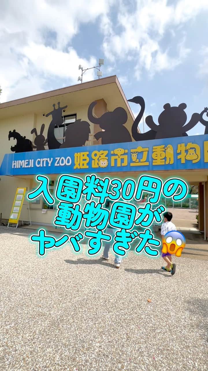 太陽チャンネルのインスタグラム：「入園料30円てヤバない！？ こどもたちが姫路城で喜んでくれないから たまたま近くにあった動物園入ったら ヤバすぎた…🥲💕 ほんっとおすすめ！！ 全人類いってほしい！！！ のりもの券買って遊具とか、お城入るんだけど 係員のおじちゃん達がわらわら群がってきて 面白かった🤣🤣💕  #姫路市立動物園  #動物園 #姫路城 #姫路 #関西おでかけ  #こどものいる暮らし  #子供とお出かけ部」