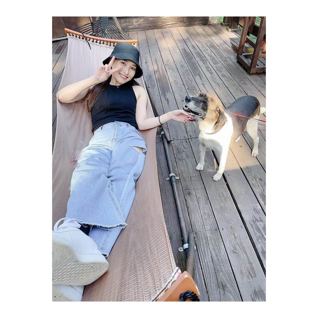 森田真以さんのインスタグラム写真 - (森田真以Instagram)「🌈 今年の夏はどこに行っても本当に暑すぎた🫠 南阿蘇は夏でもエアコンなしで十分涼しい🎐 冬は雪が積もるけど、、❄️ ハンモックのある家に住みたい🫰🏻♡ 田舎万歳🌳  #南阿蘇  #南阿蘇村 #南阿蘇stayhappy #熊本 #グランピング #キャンプ #わんこのいる生活 #わんことお出かけ #犬の気持ち#犬好きな人と繋がりたい #ビーグル #犬 #愛犬 #アウトドア #dog #doginstagram #camping #glamping #bbq #dogstagram #kumamoto #drive #summer #instadog #beegle #instadaily #outdoors #🏕」9月22日 18時01分 - morita_mai