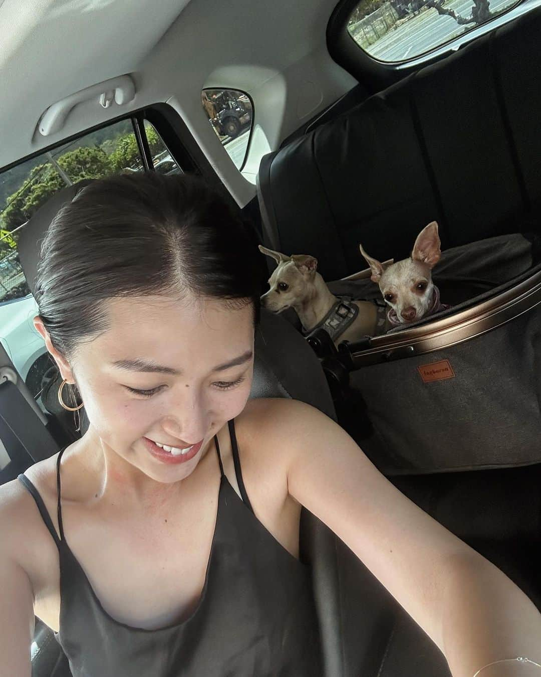 藤原菜摘さんのインスタグラム写真 - (藤原菜摘Instagram)「. Hawaii締め🐕🐕🐕またすぐ会いたいよ〜 . Thanks @cobieeey 👩 #gizmo_the_taco」9月22日 18時07分 - natsumi_fujiwara