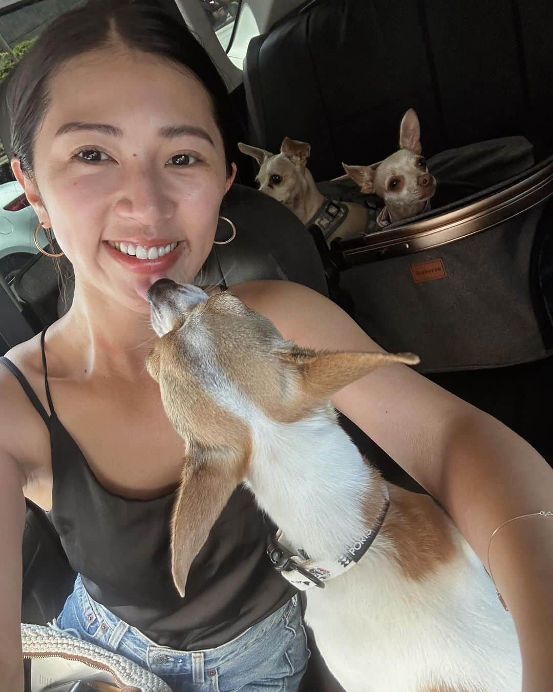 藤原菜摘さんのインスタグラム写真 - (藤原菜摘Instagram)「. Hawaii締め🐕🐕🐕またすぐ会いたいよ〜 . Thanks @cobieeey 👩 #gizmo_the_taco」9月22日 18時07分 - natsumi_fujiwara