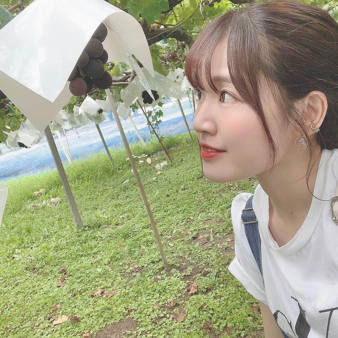 Riicoのインスタグラム