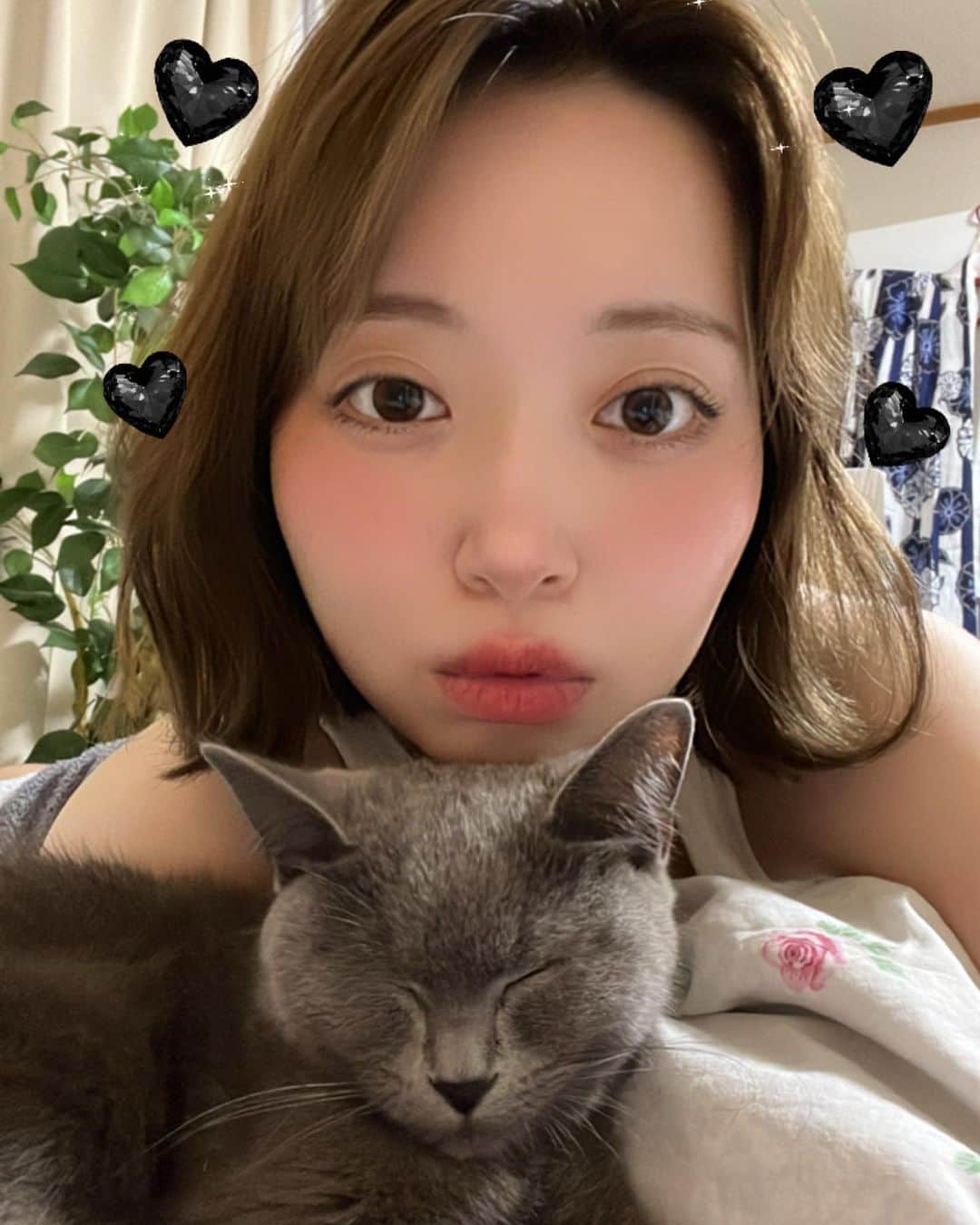 みすみのインスタグラム：「新しい家族🐈‍⬛保護猫のムジカちゃんです 猫種分かりません」