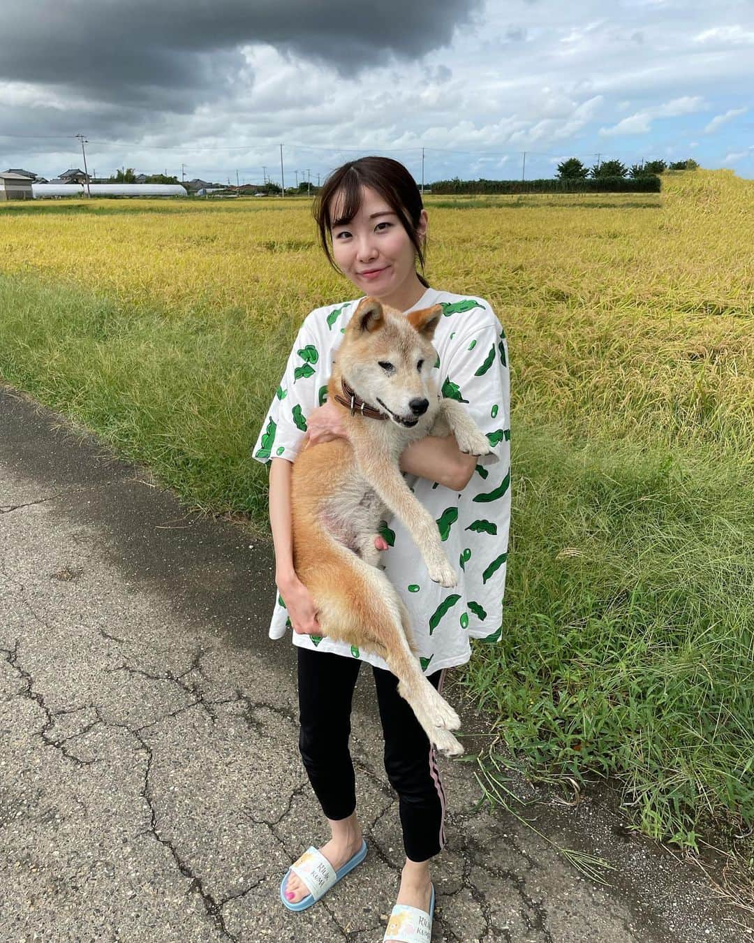 湊月莉子さんのインスタグラム写真 - (湊月莉子Instagram)「毎年恒例のpunyus&ちーさん🐕今年は枝豆Tシャツにしたよ🟢#柴犬 #柴犬マニア #17歳 #punyus #犬 #dog #愛犬家 #枝豆tシャツ #edamame #田園風景」9月22日 18時51分 - le_petit_prince6