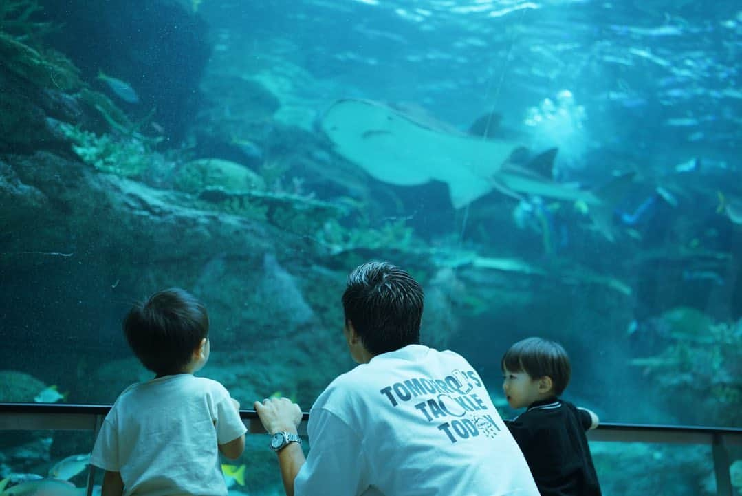 山中亮輔のインスタグラム：「🐬🐟🐠🐡 #名古屋港水族館  @rikureogram」