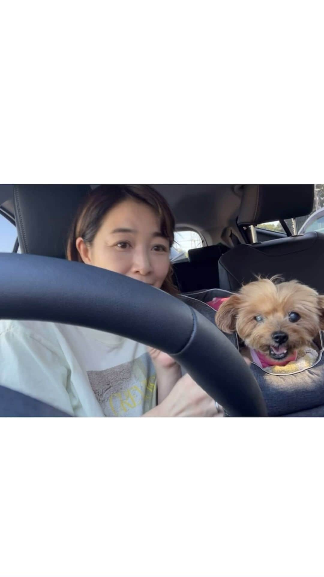 菊池桃子のインスタグラム：「*  お陰様で🐕ペリが抜糸。 手術していただいた病院への 通院🚗が終わりました。無事に順調に。  今回は、お腹にTの字型の大きな切開を したので傷口をなめたりしないよう、 術後は「エリザベス カラー」だと 想像していましたが、  術後服「エリザベス ウエア👚」を 薦めていただき着用していました。  カラーにストレスを感じる ワンちゃんには凄く良いですよ🐕❣️  #エリザベスウエア @full_of_vigor  #エリザベスカラー」