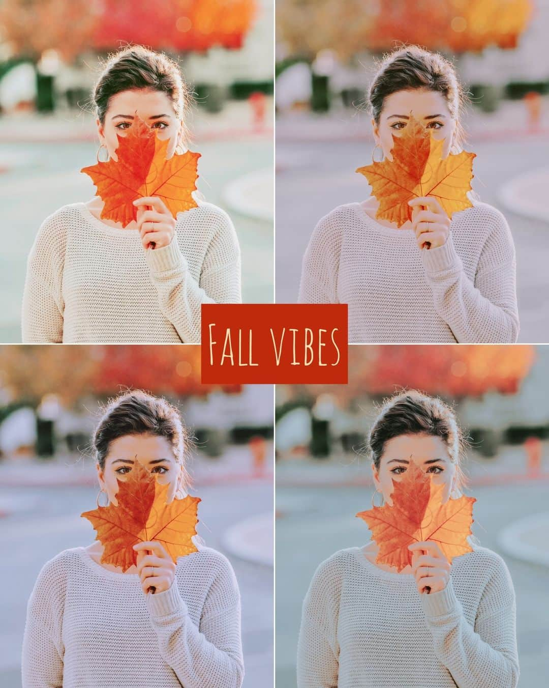 BeautyPlusさんのインスタグラム写真 - (BeautyPlusInstagram)「🍂 Which vibe will you choose for your fall photographs?🍂 #FallPhotos #FallEdition #FallFilters」9月22日 20時25分 - beautyplusapp