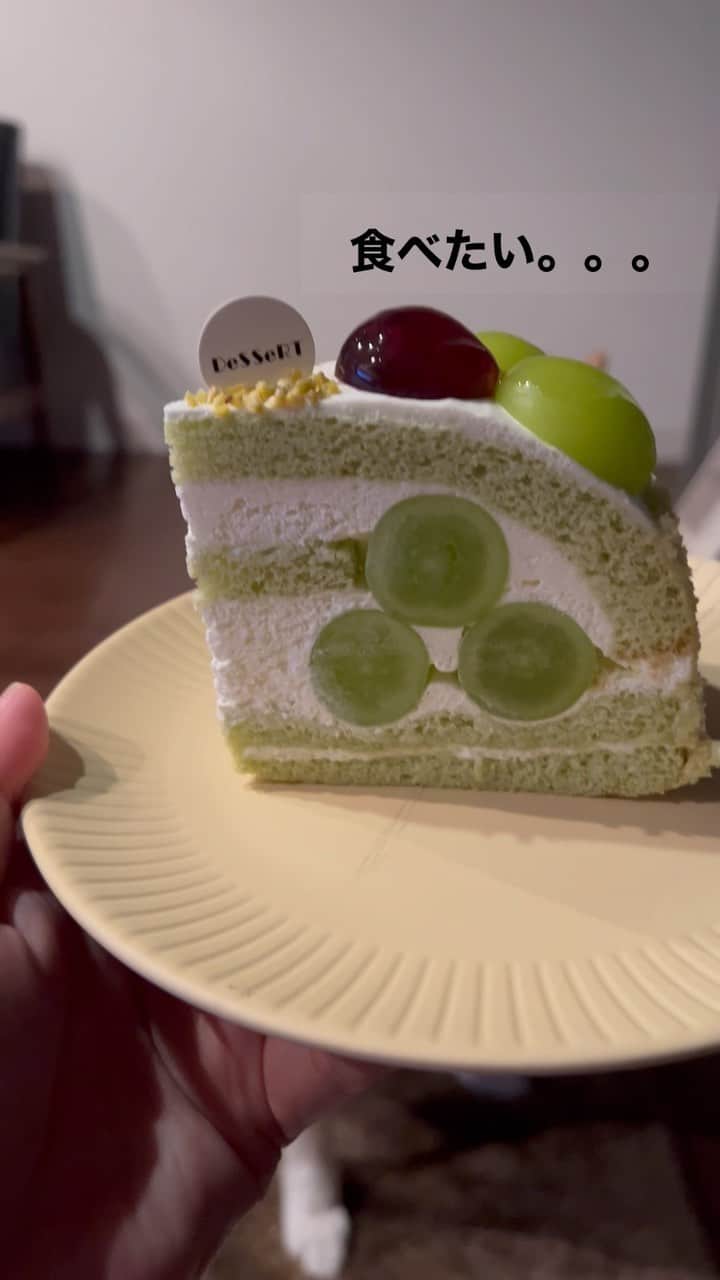 柴犬ハル&保護犬すずのインスタグラム：「🍇 . 美味しいブドウも、 犬は食べれないので我慢です🥹 . #秋の味覚だけども #犬にはNGなんだよねぇ #ダメと言えばちゃんと理解してくれます🐕🐐 #近所のケーキ屋さんとっても美味しい🥲❤️‍🔥 . #柴犬#柴#kagoshima#dog#puppy#shibainu#shibastagram#いぬバカ部#family#猫#雑種#天文館#日本犬#保護犬を家族に#保護犬#元保護犬#ケーキ#cake#ケーキ屋#フルーツ」