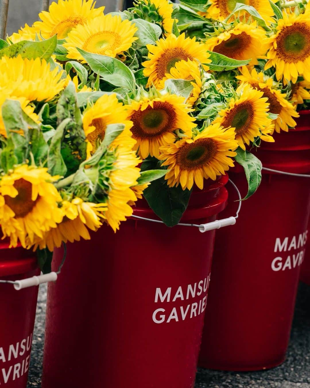 マンサー ガブリエルさんのインスタグラム写真 - (マンサー ガブリエルInstagram)「Scenes from our presentation on Orchard Street 🌻 Photographed by @aks #tenyearsofmg #mansurgavriel #nyfw」9月22日 20時47分 - mansurgavriel