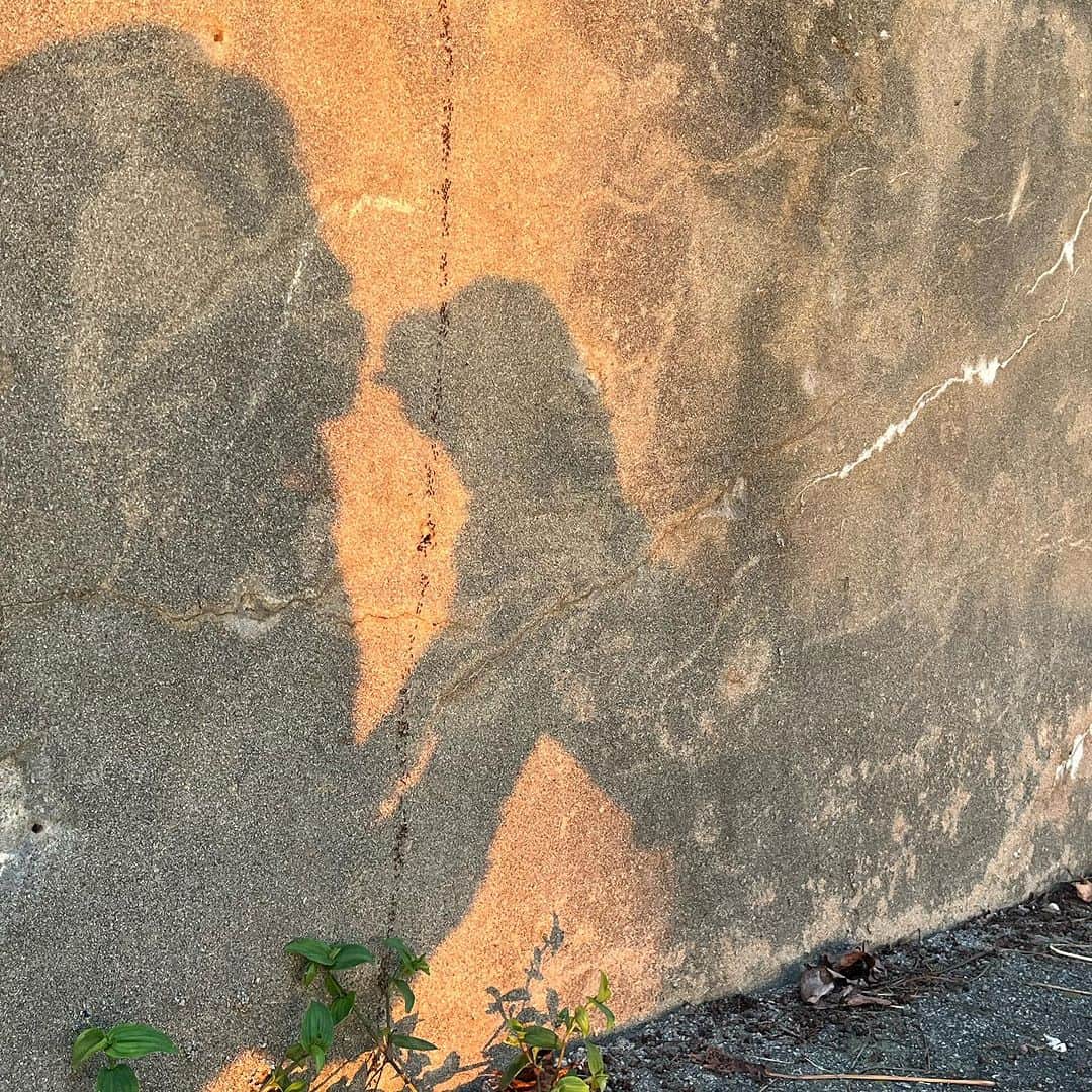 キム・ハリムのインスタグラム