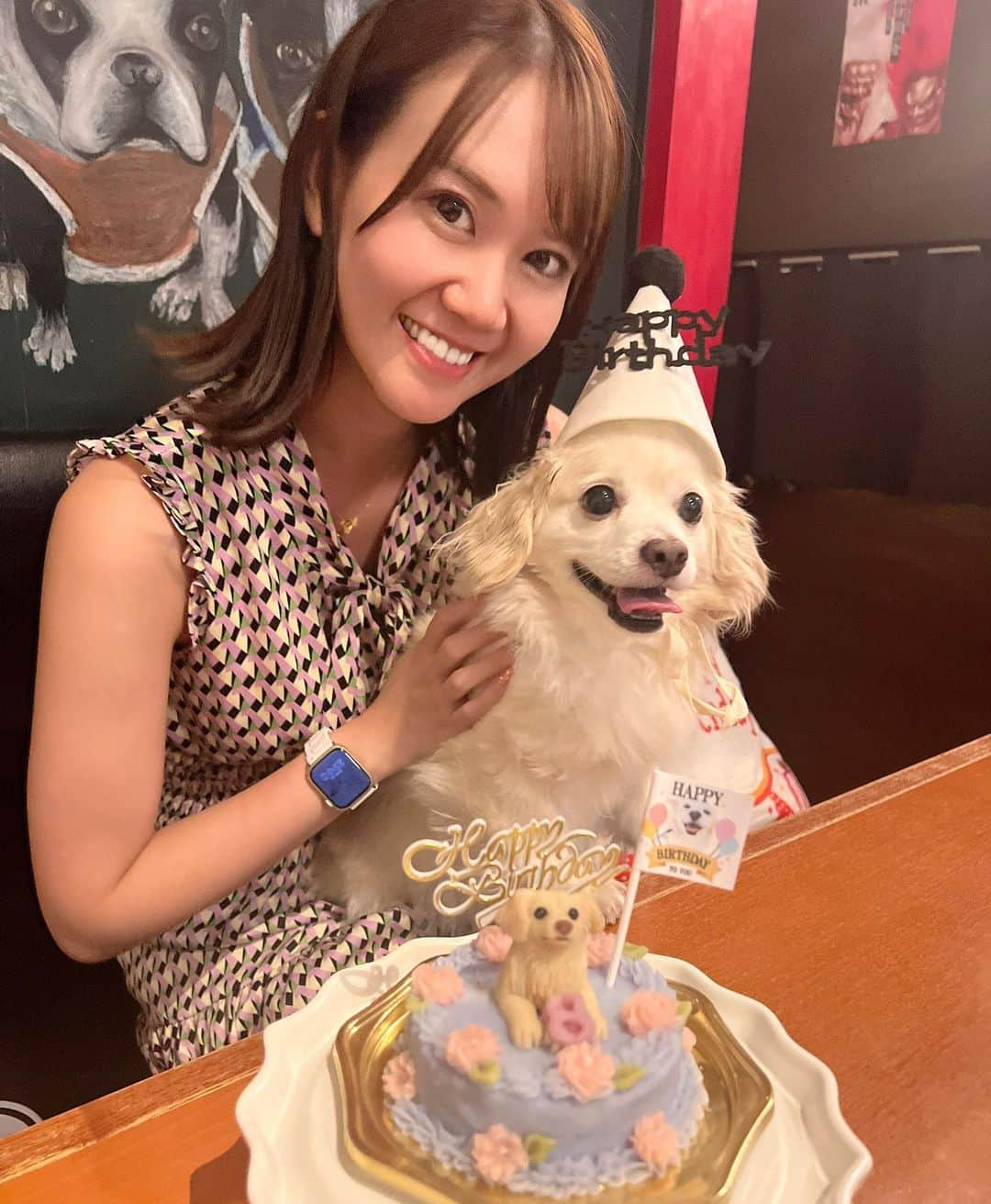 安藤まいさんのインスタグラム写真 - (安藤まいInstagram)「天才的なアイドル様🐶 私の大天使もち吉のお誕生日です🎂【2023.09.22】8歳になりました🐶💓💓💓  今年も可愛すぎる天才ケーキを 博多やきもん(@hakatayakimon )さんで作ってもらいました🤤💓💓💓 バタフライピーっていう天然ハーブでブルーに着色してあるんだよ💙 ケーキの中身はチキンハンバーグで もち吉大興奮🐶🐶🐶 いつももち連れて晩ご飯食べに行けてわんこご飯も手が込んでてほんとに全部美味しいからわんこ飼ってる人はぜひご飯食べに行ってほしい🥹  #福岡カフェ#福岡犬カフェ #チワックス#もち吉#チワックス倶楽部#チワックスタグラム#いぬすたぐらむ#いぬばか部#福岡わんこ#福岡チワックス#犬のいる暮らし#犬好きな人と繋がりたい#わんこなしでは生きていけません会#犬バカ部#犬バカ部チワックス#福岡犬民#犬好きな人と繋がりたい#犬好きな人とつながりたい#dogstagram#dog#doglife#chihuax#dogstagram」9月22日 22時04分 - mai_ando0407