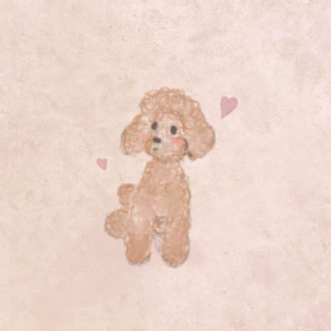 ほしのこさんのインスタグラム写真 - (ほしのこInstagram)「ティムとエルを1人にしたイラスト🐶かいてみた♡ 今回すっぽん小町さんとのコラボで オリジナルポーチをつくりましたん♡ カフェでサクッと描いてた絵を 手直しして… 自分的に気に入ってたので そのままポーチに落とし込んでみちゃいました！どうかな？？？  是非GETしてねん！！🫶 @official_komachi   いやぁあ〜  改めて すっぽん小町さんとのイベントにて 来てくれた方々ありがとうございました✨️ 私をみて泣いてくれる方が居たりして 皆の想いが伝わりすぎて。。  そしてこの2日間 いい人に恵まれすぎて たくさんの優しさと 心遣いを頂き 私の気持ちや心が温まって 最後感極まって涙してしまいました。 私の気持ちが少しでも皆さんに届いたらいいなって思います…  動画でも言ったけど 何者でもない私を こうして応援してくれたり サポートしてくれたりしてくれてる方々 本当に本当にありがとうございます！✨️  大好き！！  #ほしのこch#YouTube」9月22日 22時16分 - hoshinoko728