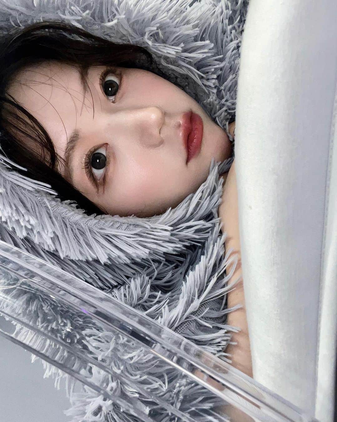 のインスタグラム：「１週間あっという間~🐈」