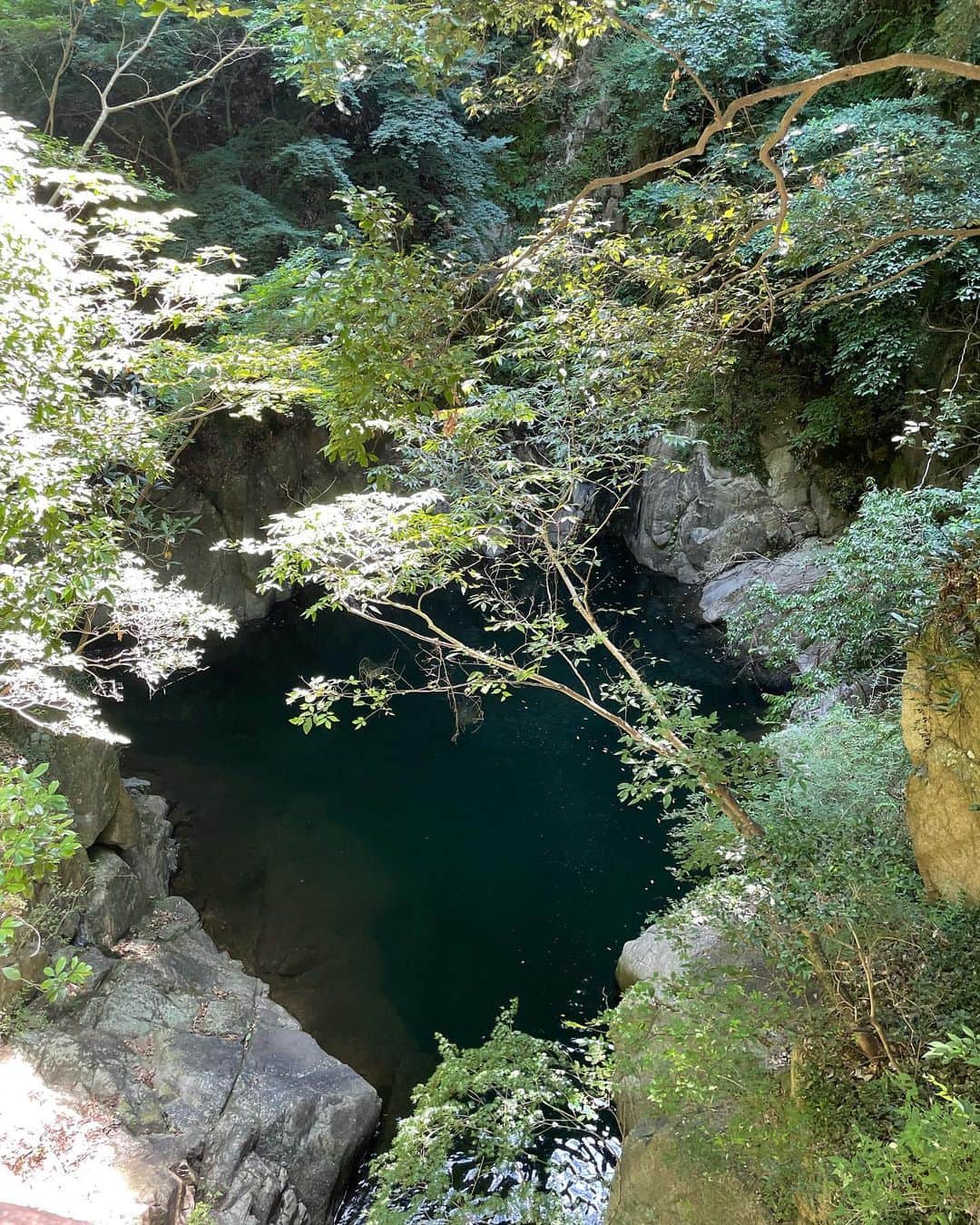 miriishiiのインスタグラム：「🍃  FULL OF GOOD AND BEAUTIFUL ENERGY🐉🧚 神戸の布引の滝、本当によかったなぁ〜  ちなみに滝の動画はリールから観れます🎬 ⁡ ⁡ #ミリ旅 #神戸 #一人旅 #KOBE ⁡」