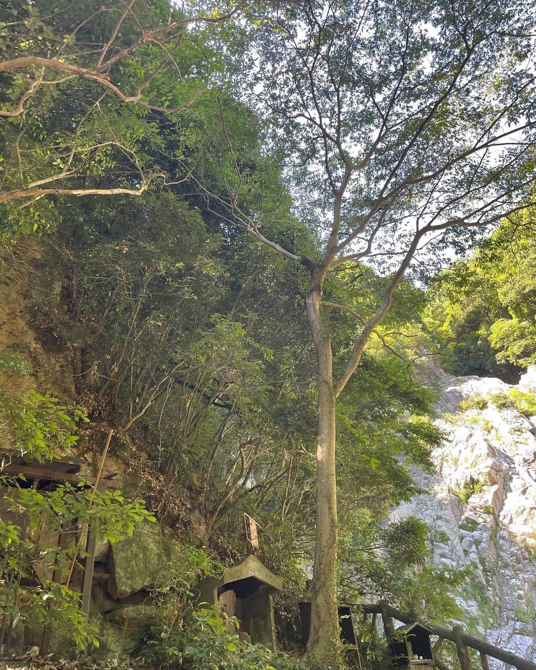 miriishiiさんのインスタグラム写真 - (miriishiiInstagram)「🍃  FULL OF GOOD AND BEAUTIFUL ENERGY🐉🧚 神戸の布引の滝、本当によかったなぁ〜  ちなみに滝の動画はリールから観れます🎬 ⁡ ⁡ #ミリ旅 #神戸 #一人旅 #KOBE ⁡」9月22日 22時42分 - miriishii