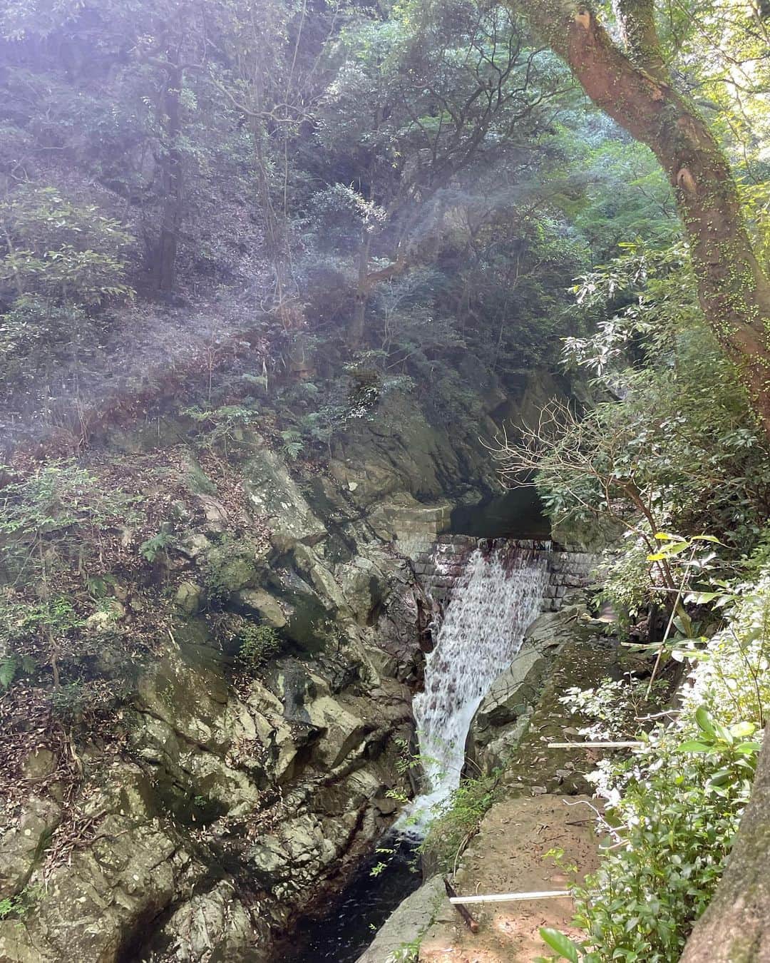 miriishiiさんのインスタグラム写真 - (miriishiiInstagram)「🍃  FULL OF GOOD AND BEAUTIFUL ENERGY🐉🧚 神戸の布引の滝、本当によかったなぁ〜  ちなみに滝の動画はリールから観れます🎬 ⁡ ⁡ #ミリ旅 #神戸 #一人旅 #KOBE ⁡」9月22日 22時42分 - miriishii