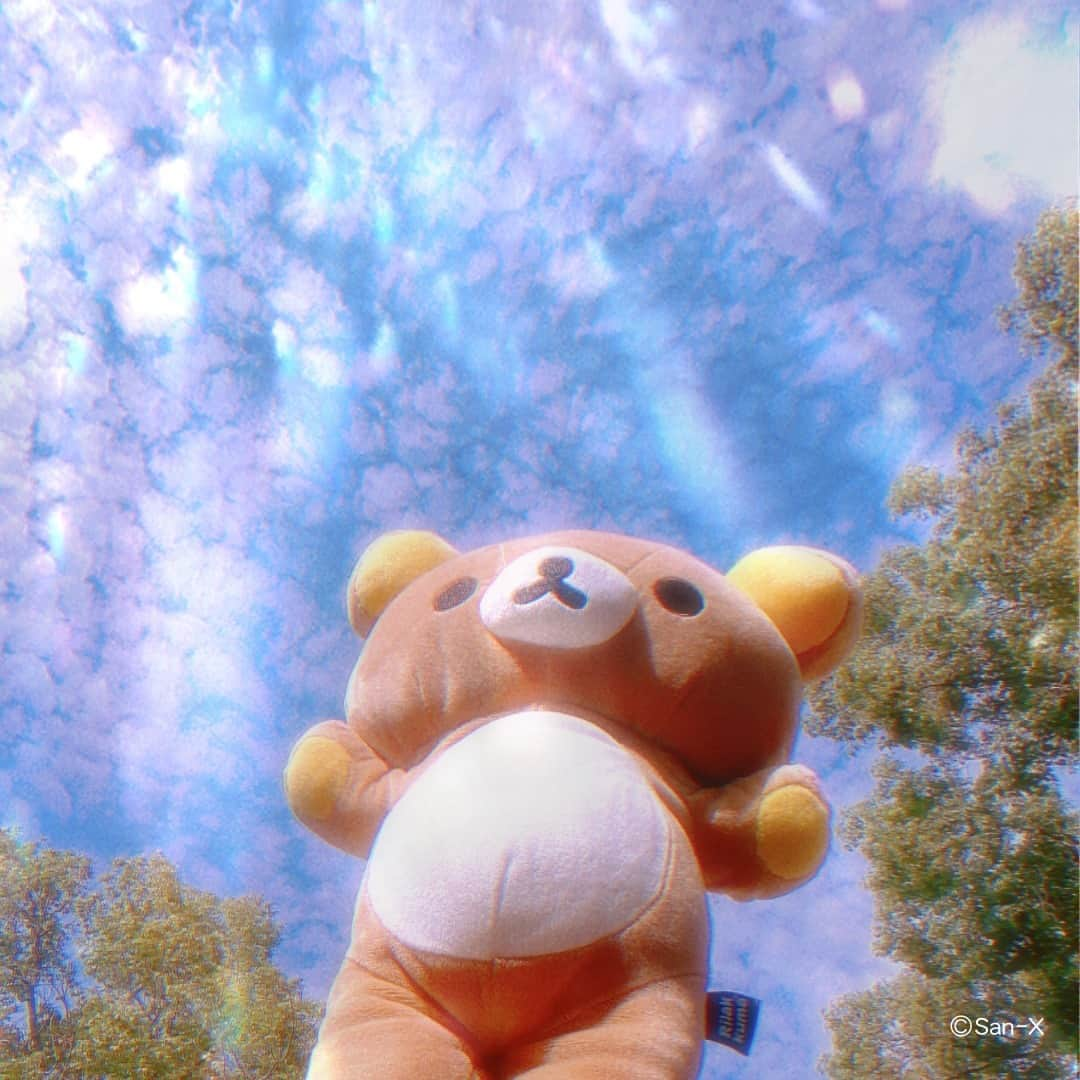 Rilakkuma US（リラックマ）さんのインスタグラム写真 - (Rilakkuma US（リラックマ）Instagram)「Rilakkuma is celebrating the beginning of Autumn by taking a stroll outside. 🍂  #rilakkumaus #rilakkuma #sanx #sanxoriginal #kawaii #plush #plushies #リラックマ #サンエックス #summer」9月22日 23時04分 - rilakkumaus