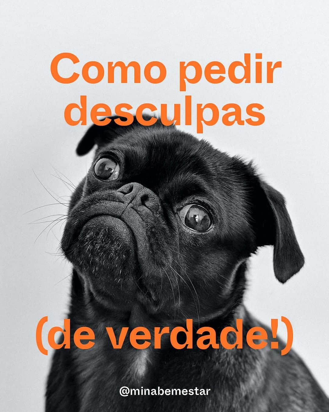 アンジェリカのインスタグラム：「Chega de piorar as coisas quando tenta corrigir uma mancada. “Pedir desculpas de verdade é complicado”, escreve Arthur C. Brooks em sua coluna na revista norte-americana @theatlantic. “Exige caráter, saber escutar o outro e um tanto de sofisticação psicológica, por isso tantos pedidos de desculpas dão errado." Arrasta para o lado e aproveita as dicas e reflexões fundamentais para reconhecer vacilos do jeito certo.」