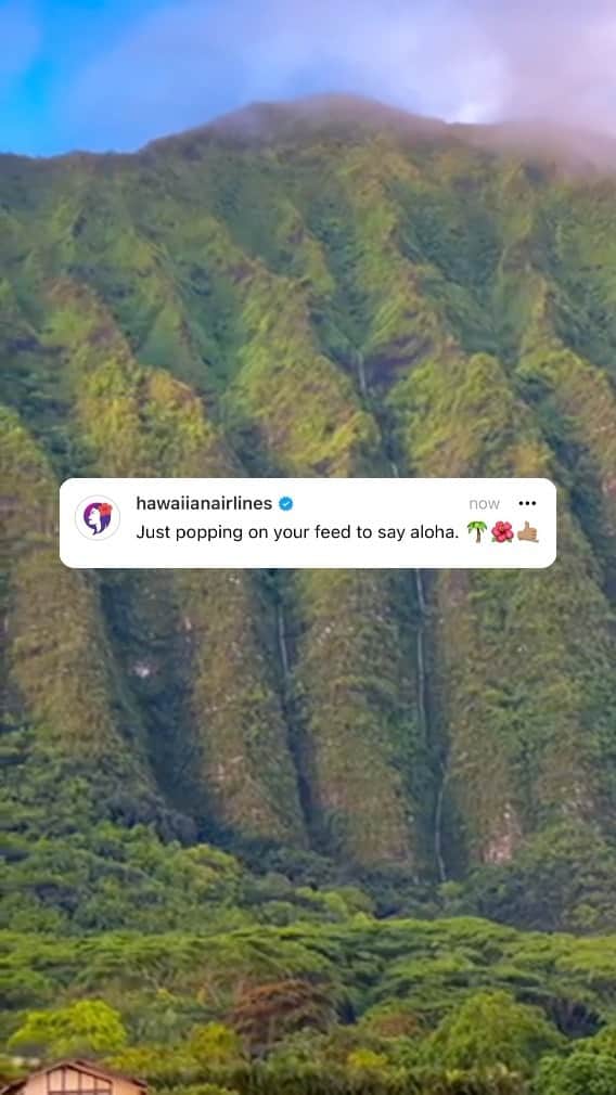 ハワイアン航空のインスタグラム：「Just popping by to say aloha 🌺✈️ #AlohaFriday  🎥 @mouse_hawaii」