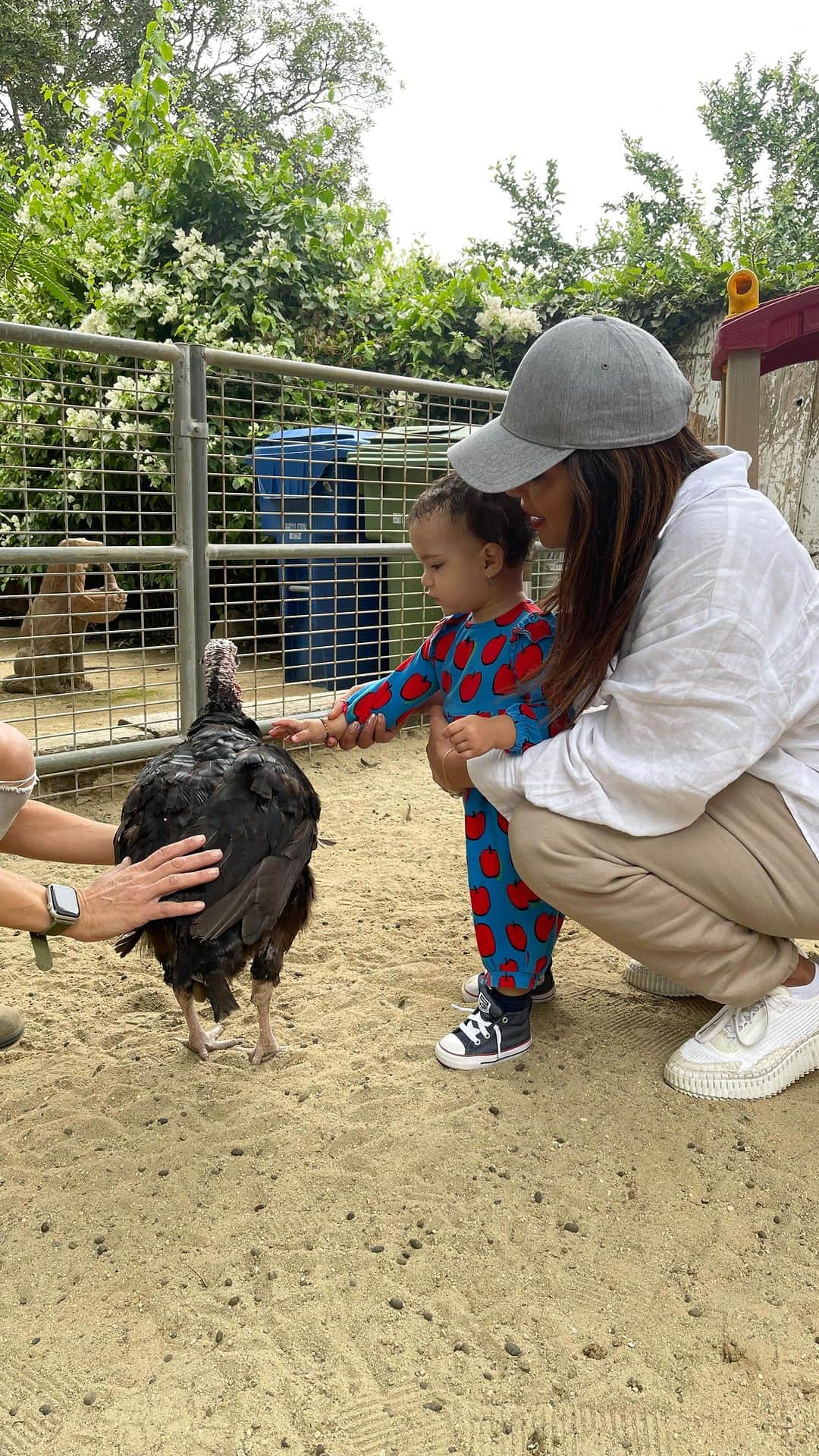 プリヤンカー・チョープラーのインスタグラム：「Farm life with our favorite uncle @franklinjonas at the lovely @kfar_saba_urban_farm  So quaint and fun. Thank you  miss Limore. #goat 🐐」