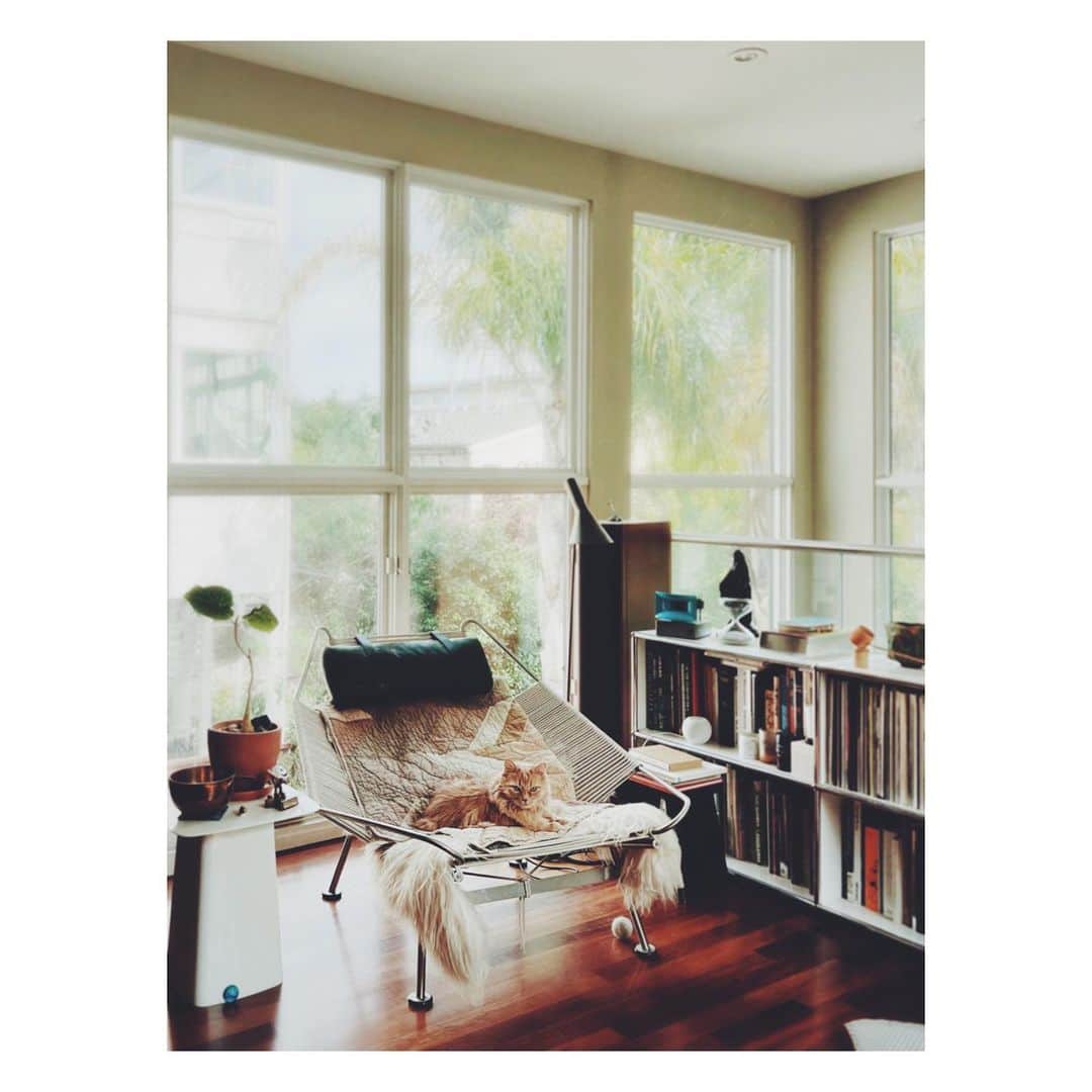 高橋ヨーコのインスタグラム：「Feels really Home in San Francisco Thanks to you all .」