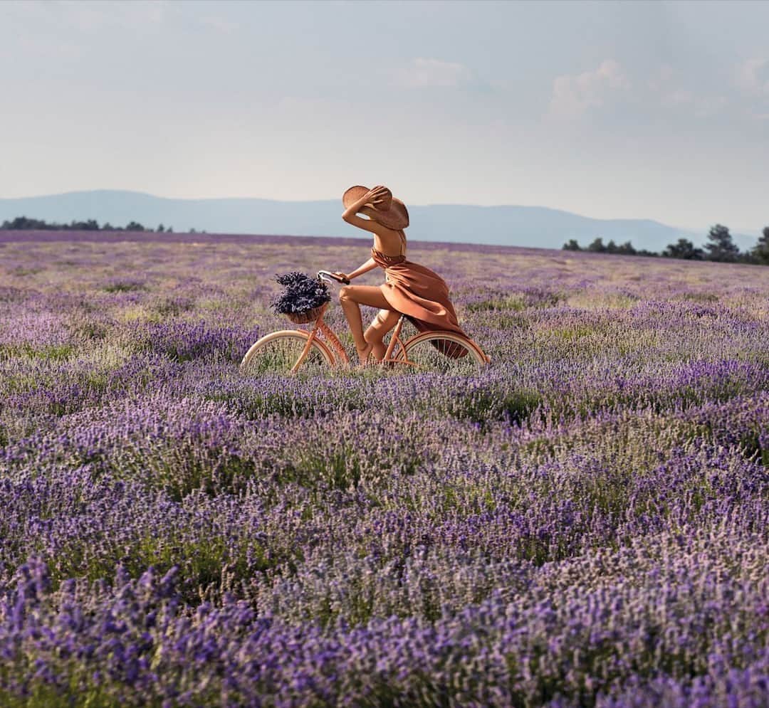 のインスタグラム：「Race away in the Provence sun! 💛🚲 #provence #lavenderfields」