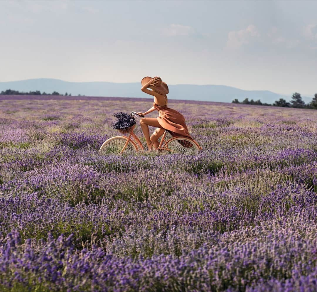 ロクシタンのインスタグラム：「Race away in the Provence sun! 💛🚲 #provence #lavenderfields」