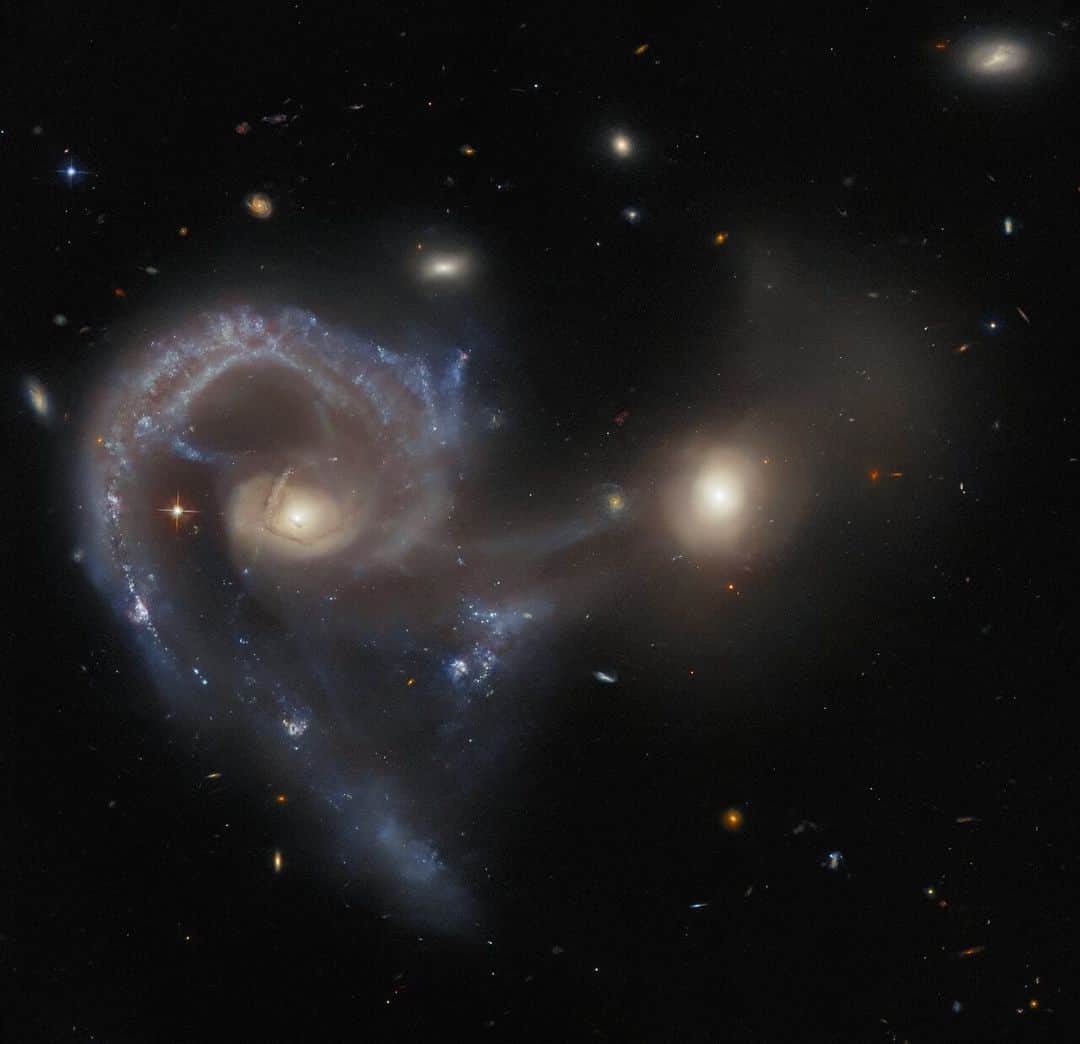 NASAのインスタグラム：「This @NASAHubble image shows two galaxies colliding. The larger galaxy on the left is a Seyfert galaxy, which is notable because, despite the immense brightness of its core, radiation from the entire galaxy is observable.   Image Description: A pair of merging galaxies. The galaxy on the left has a single, large spiral arm curving out from the core and around to below it, with very visible glowing dust and gas. The right-hand galaxy has a bright core but only a bit of very faint material. A broad curtain of gas connects the two galaxies’ cores and hangs beneath them. A few small stars and galaxies are scattered around the black background.」
