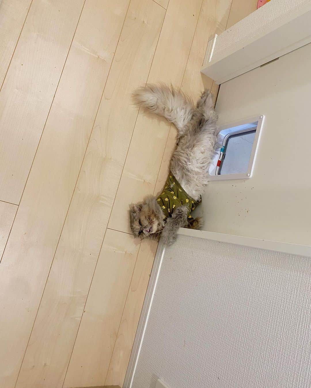 and myuのインスタグラム
