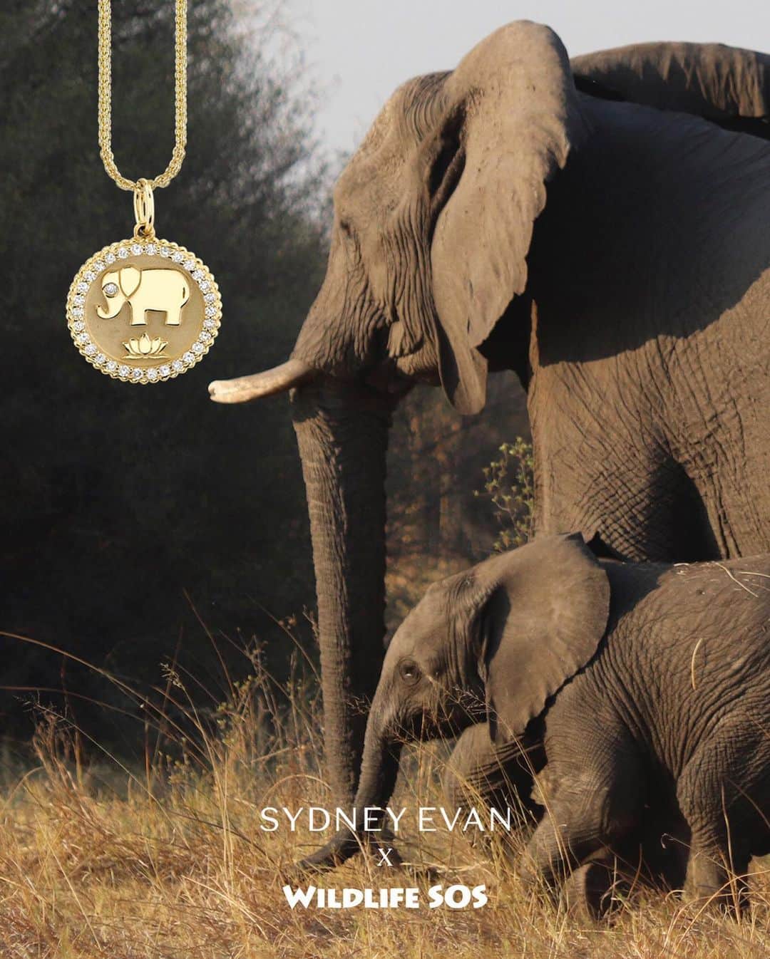 のインスタグラム：「@sydneyevan x @wildlifesos 🐘💚   We are thrilled to announce our partnership with Wildlife SOS, a leading non-profit organization dedicated to the rescue and rehabilitation of elephants in need.   To honor #ElephantAppreciationDay we designed two new 14k gold and diamond elephant coins in collaboration with Wildlife SOS.   Starting today, until October 22nd, a portion of the proceeds of these two coins and our entire Elephant Collection will be donated directly to Wildlife SOS.   #SydneyEvan #WildlifeSOS」