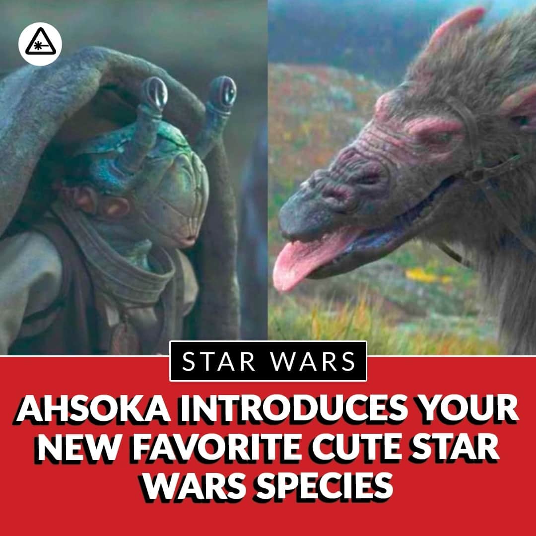 クリス・ハードウィックのインスタグラム：「The Noti and the howlers not only added maximum cuteness to our screens, but they also played a part in Ahsoka‘s plot. Let’s take a look at these newly introduced denizens of the Star Wars world.⁠ ⁠ link in bio」
