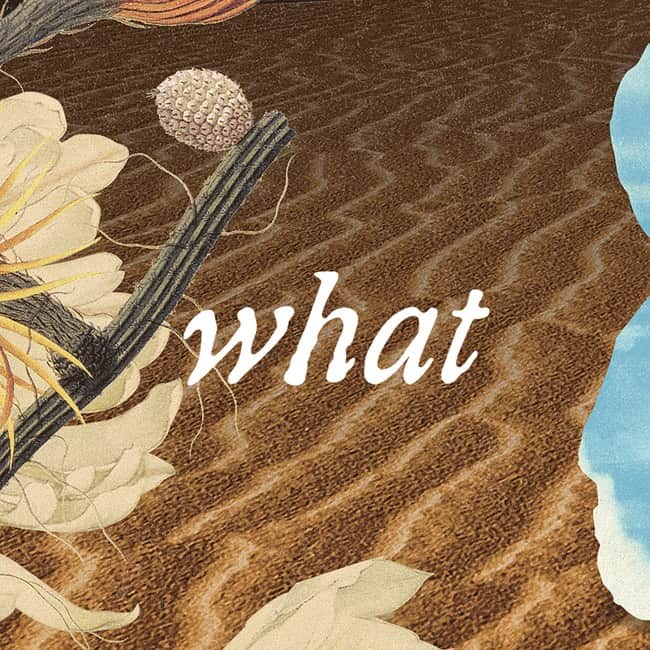 ウォーク・ザ・ムーンのインスタグラム：「< what if nothing > pt. iii  After the huge push of Shut Up and Dance, and after all the < TALKING IS HARD > touring was done, the monumental task of recording a follow-up settled upon us.   The record did not come easily.  Both internal and external pressures and mounting tensions led to conflict between us.  Momentum was hard to come by as we switched studios, switched producers, stopped to write more, took breaks away from each other, halted to face tragedy.   Finally, after all we’d been through both together and as individuals, releasing and touring < what if nothing > felt like a victory lap.  We were in the biggest rooms we’d ever played - sometimes playing multiple nights to sold out crowds - touring with the biggest, most dialed in production of our careers.  We were carrying the past with us, but pushing the boundaries of what WALK THE MOON could be.  Yes, open the show with Circle of Life, but have it break down and crumble half way through.  Let us start somewhere new.  If the < TALKING IS HARD > tour took us to new places across the globe, the < what if nothing > tours let us return with a new strut in our step.  We had a record we were enormously proud of, and a number one single with One Foot.  We had a fresh confidence in our ability to rise above, to prevail, to come back.  Some of the happiest, silliest, and most victorious moments were during this time. I’ll say it: maybe my favorite era. Come at me. -@brosemaiman  🎥 + 📸: @dkessler  addt’l 📸: @annaleemedia」