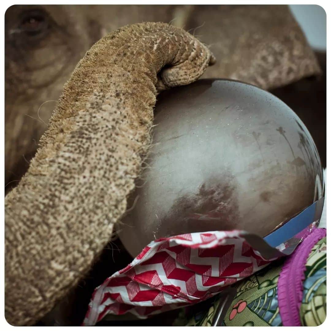 のインスタグラム：「'In my opinion the world has been explained to us using the same words and structures for too long'. - Cristina De Middel  'Afronauts' is a photographic series created by Spanish documentary photographer Cristina de Middel @lademiddel. Trained as a photojournalist, de Middel explores the ambiguous relationship between photography and truth. Her point of interest then, as now, was the ‘true stories people don’t believe and fake stories they do’. The Afronauts is based on the former: the true story of the Zambian space programme that took place in the early 1960s. 🚀  In 1964, shortly after the Republic of Zambia gained independence, a science teacher named Edward Makuka Nkoloso decided to train the first African crew to travel to the moon. With little funding, his visionary project was unsuccessful. De Middel's photography series imaginatively reenacts the event.  The images are dream-like and highly stylised, with a playful quality that is echoed in the (often made-up) words of the work titles. She has described the tone of the project as a celebration of the hope and ambition of events that inspired it – not poking fun, but using the combination of a compelling but seemingly fantastical story together with a surreal aesthetic in order to try to 'push the audience into analysing the patterns of the stories we consume as real.'  📷 Cristina de Middel, Butungatanatulu 2012, Hamba 2012, Umeko 2012, Yinqaba 2012 and Butungabi 2012. Find de Middel's work on display inside #AWorldInCommon: Contemporary African Photography at Tate Modern.」