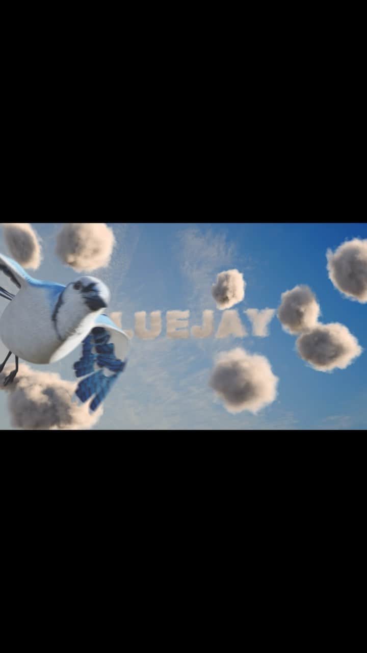 Riff Raffのインスタグラム：「☁️BLUEJAY☁️ViDEO☁️OUT☁️NOW☁️  🎥 @cotto0verdidit & @amfilmakers  🔊 @aloneinaboyband & @kushdrifter」