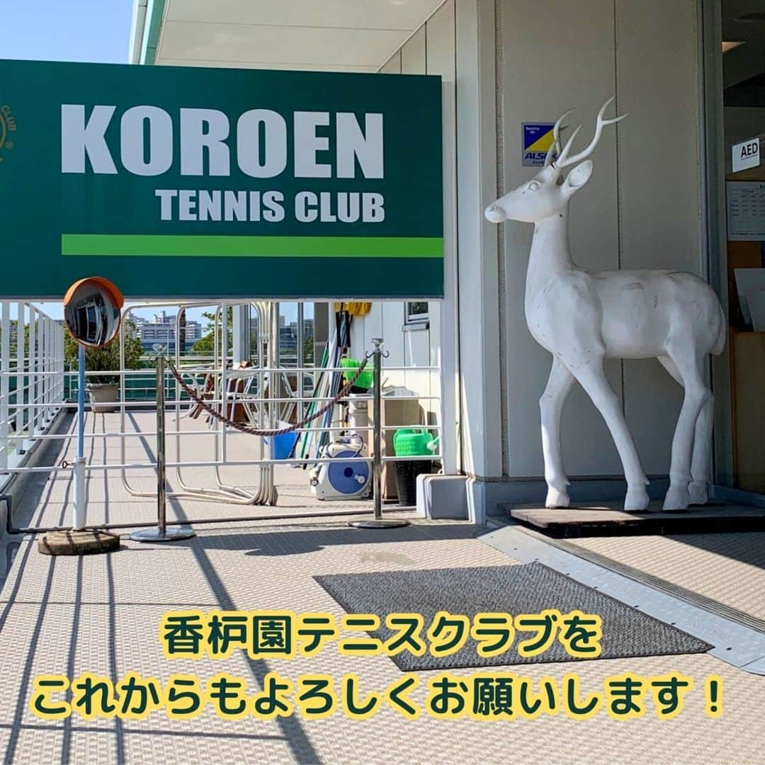 辰馬本家酒造株式会社(白鹿) さんのインスタグラム写真 - (辰馬本家酒造株式会社(白鹿) Instagram)「9月23日は「#テニスの日 🎾」  今日は秋分の日ですが、テニスの日でもあるんです😊 なぜ、酒造会社である弊社がこんな事言うのかな？と 思われる方もいらっしゃると思います。  実は、辰馬本家酒造はグループ事業として 「香枦園テニスクラブ」を運営しております！  そして、香枦園テニスクラブは1963年のオープンより 今年で60周年を迎えました👏🎾👏🎾👏 写真2枚目・4枚目は1970年代の頃の様子です。 休憩室もPOPで可愛いですね😊  香枦園テニスクラブは、ヘルシー感覚と スポーツ意識をテーマに地域のスポーツの振興を はかるとともに新しいコミュニティの核として 地域社会からの評価を受けています。  香枦園テニスクラブは宮本輝さんの「青が散る」という 小説の舞台に登場しています📚 1983年にTBSでテレビドラマ化されたそうで、 香枦園テニスクラブの支配人は当時そのドラマの エキストラで出演していたそうです😂😂😂  当時の撮影裏話を聞きたい方はぜひ、 香枦園テニスクラブへ！！！  地域の皆さまに愛されて60周年、これからも皆さまの 健康のお手伝いができるように頑張ってまいります😊  初心者の方からトーナメントプレーヤー、 現役の学生プレーヤーまで幅広い層に対応出来る レッスンをご用意しております。  久々にテニスをしてみたい方、現在も現役バリバリで テニスをされている方、テニスに最近興味を持たれた方、 ぜひ一度体験に来ていただければ幸いです。  @koroen_tennis #香枦園テニスクラブ #🎾 #テニス #tennis  #テニススクール #tennisschool #テニスプレーヤー  #tennisplayer  #白鹿 #黒松白鹿 #辰馬本家酒造 #西宮 #hakushika」9月23日 6時01分 - hakushika_official