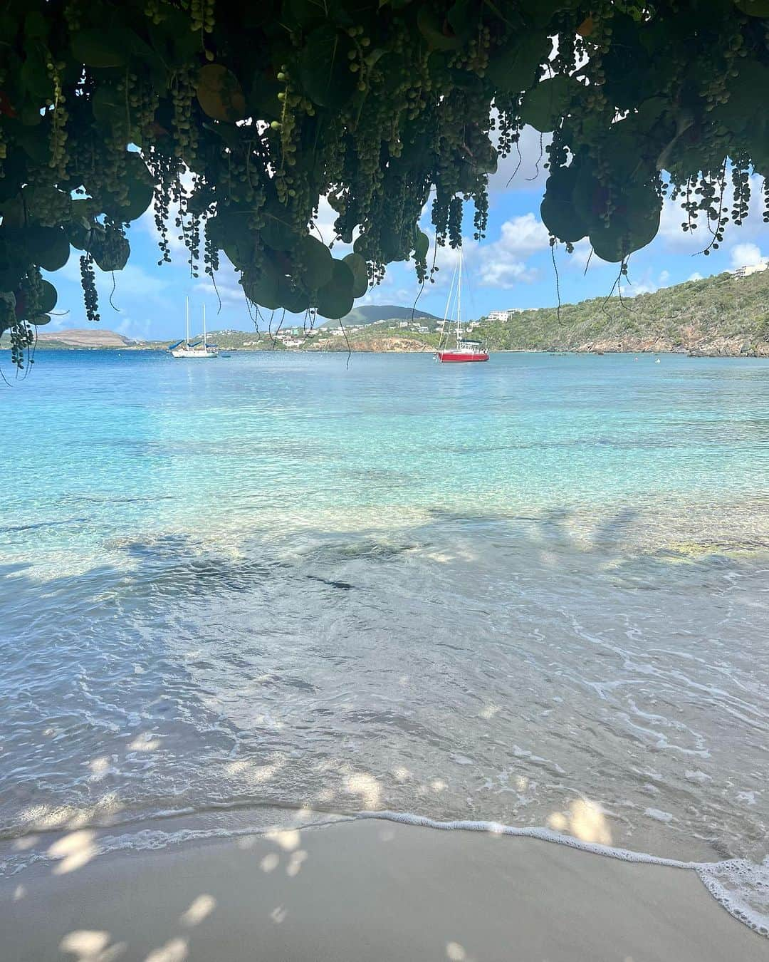 jotipolizoakisさんのインスタグラム写真 - (jotipolizoakisInstagram)「st. thomas views 🌴」9月23日 7時30分 - jotipolizoakis