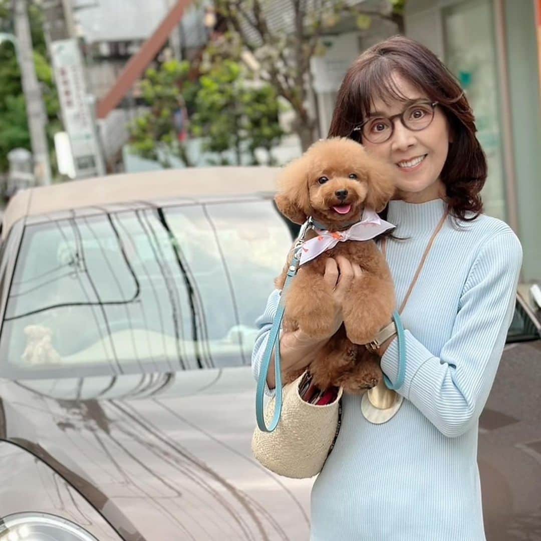 のインスタグラム：「トリミングお迎えからの デート でした🧸 　  #柏木由紀子ファッションクローゼット 好評発売中！ #楽天ブックスファッション部門1位獲得 #発売前重版 #坂本九音楽事務所 #坂本九 #坂本九柏木由紀子 #シニアファッション #シニア世代のファッション番長 #75歳 #70代コーディネート #60代コーディネート #50代コーディネート #柏木マダム #カシワギマダム #由紀子巻き #60代ヘアスタイル」