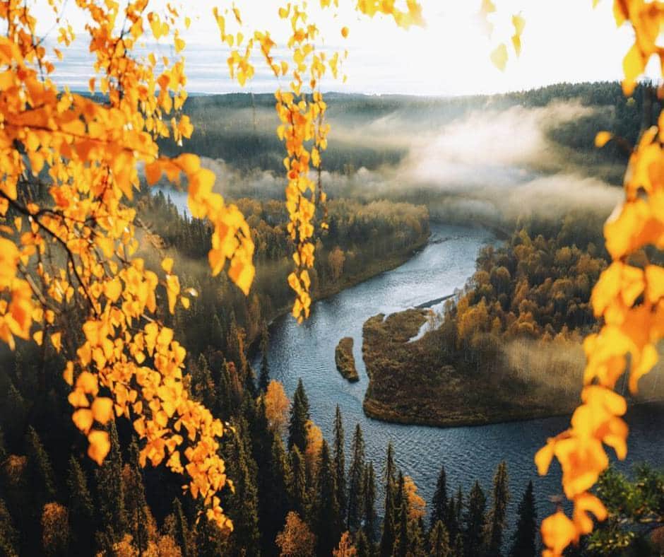 フィンランド政府観光局のインスタグラム：「🌗🌟 秋分の日ですね。 🌞🌚 フィンランドは今紅葉の季節、キノコ狩りもまだ楽しめます。 🍂🍄また、これからだんだんと暗い時間が長くなるのでオーロラ観察にもよいシーズンです。   📸 : André Alexander, Harri Tarvainen, Emilia Hoisko, Karl Adami  #visitfinland #ourfinland #visitfinlandjp #finland #北欧旅行 #travelgram #フィンランド #フィンランド政府観光局 #北欧 #travel #instatravel #travel #travelgram #travelling #traveler #旅したくなるフォト #旅行 #旅 #海外旅行 #travelphotography #旅行大好き #旅行好き #旅スタグラム #旅好き #ヨーロッパ旅行 #旅に出たい #トラベル #秋 #紅葉 #紅葉狩り #キノコ狩り」